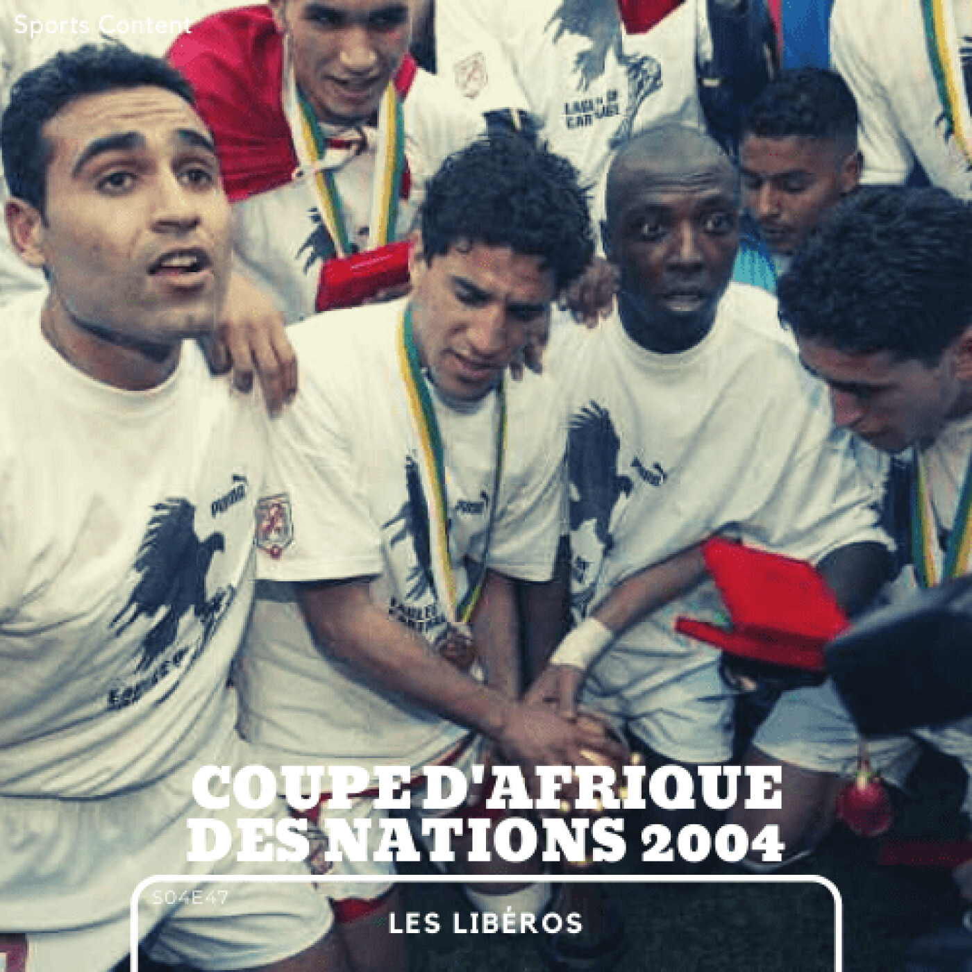 La Coupe d'Afrique des nations 2004