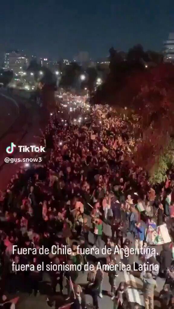 Argentines and Chileans Take To The Streets to Protest Israeli Land Grab Through Forest Fires