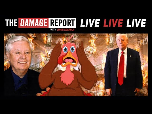 Planes, Pains And Automobiles