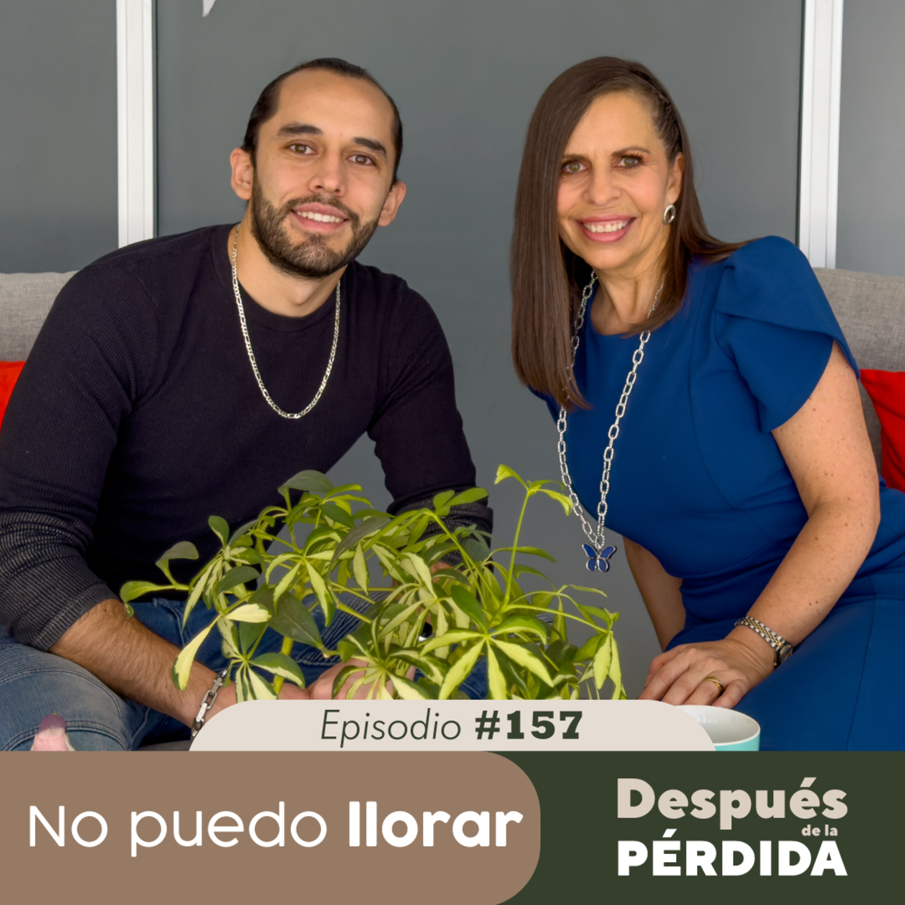 Portada de Después de la pérdida