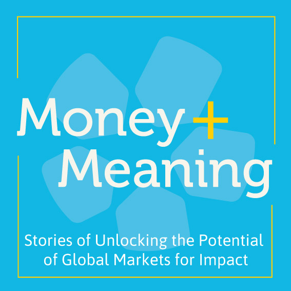 Money and Meaning cover