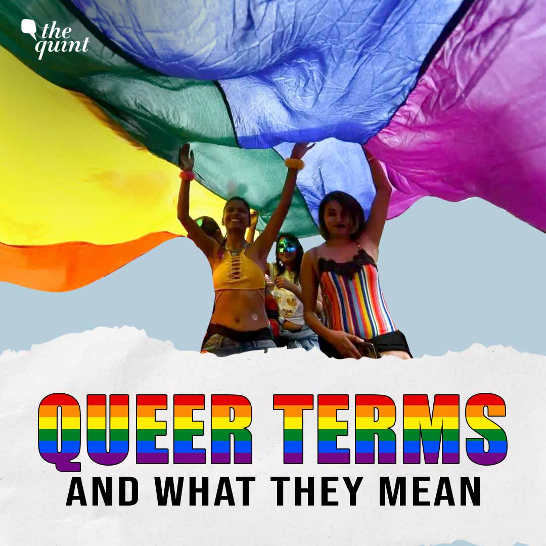 Pride 2025: Heard These Queer Terms but Not Sure What They Mean? Start Here | The Quint episode artwork