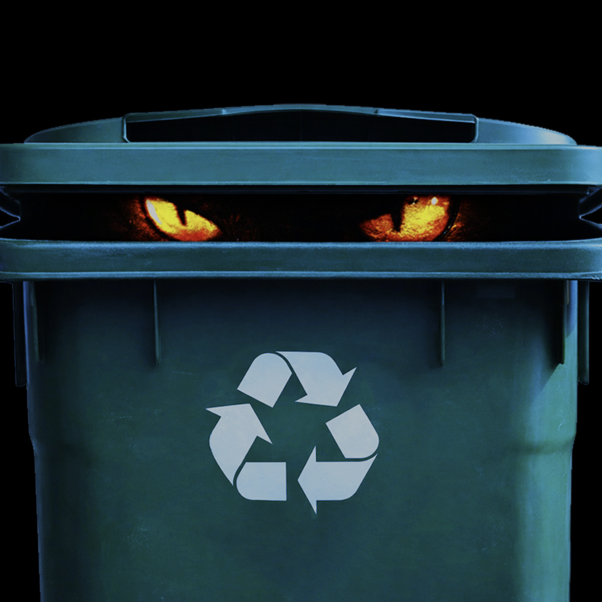 Thumbnail for "Garden of Evan".