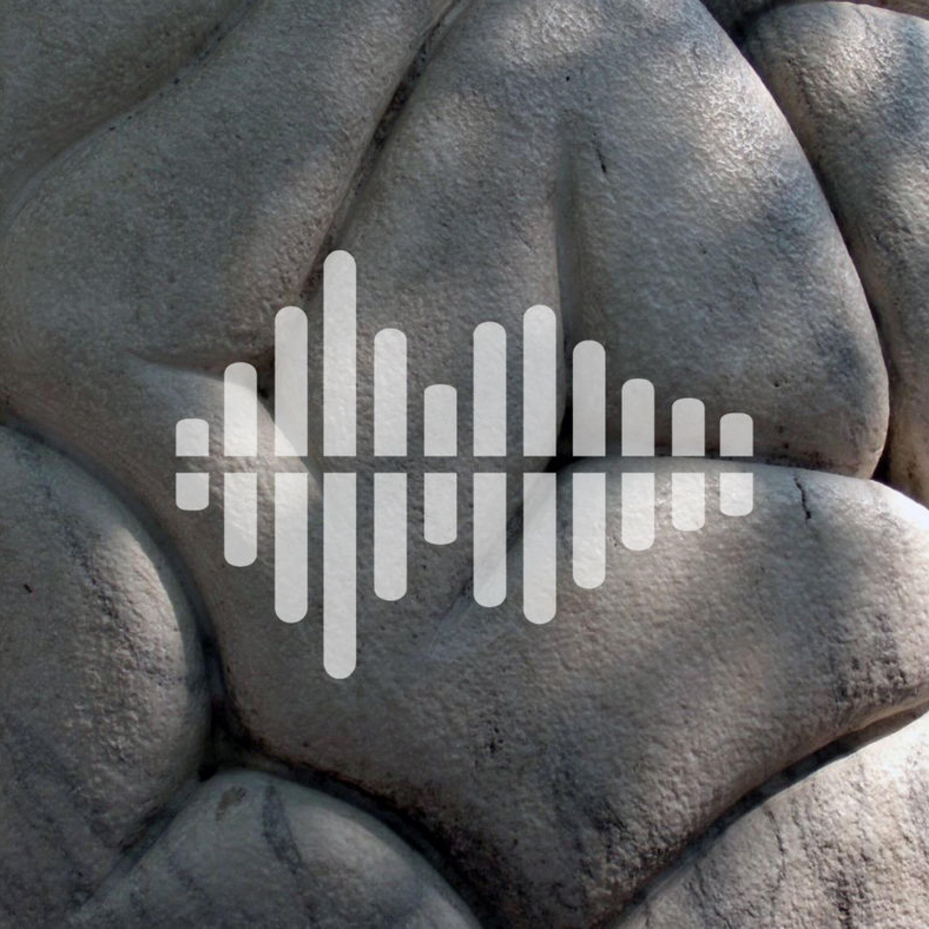 Trying to find the mind in the brain, and why adults are always criticizing ‘kids these days’