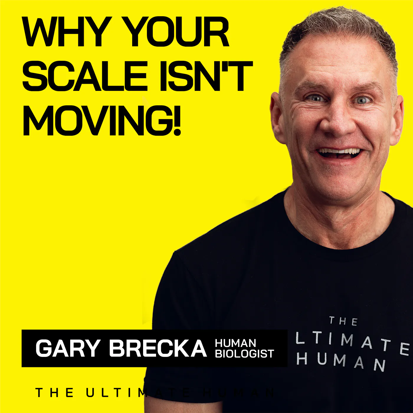 254. How to Build Muscle and Lose Fat at the Same Time 254. How to Build Muscle and Lose Fat at the Same Time