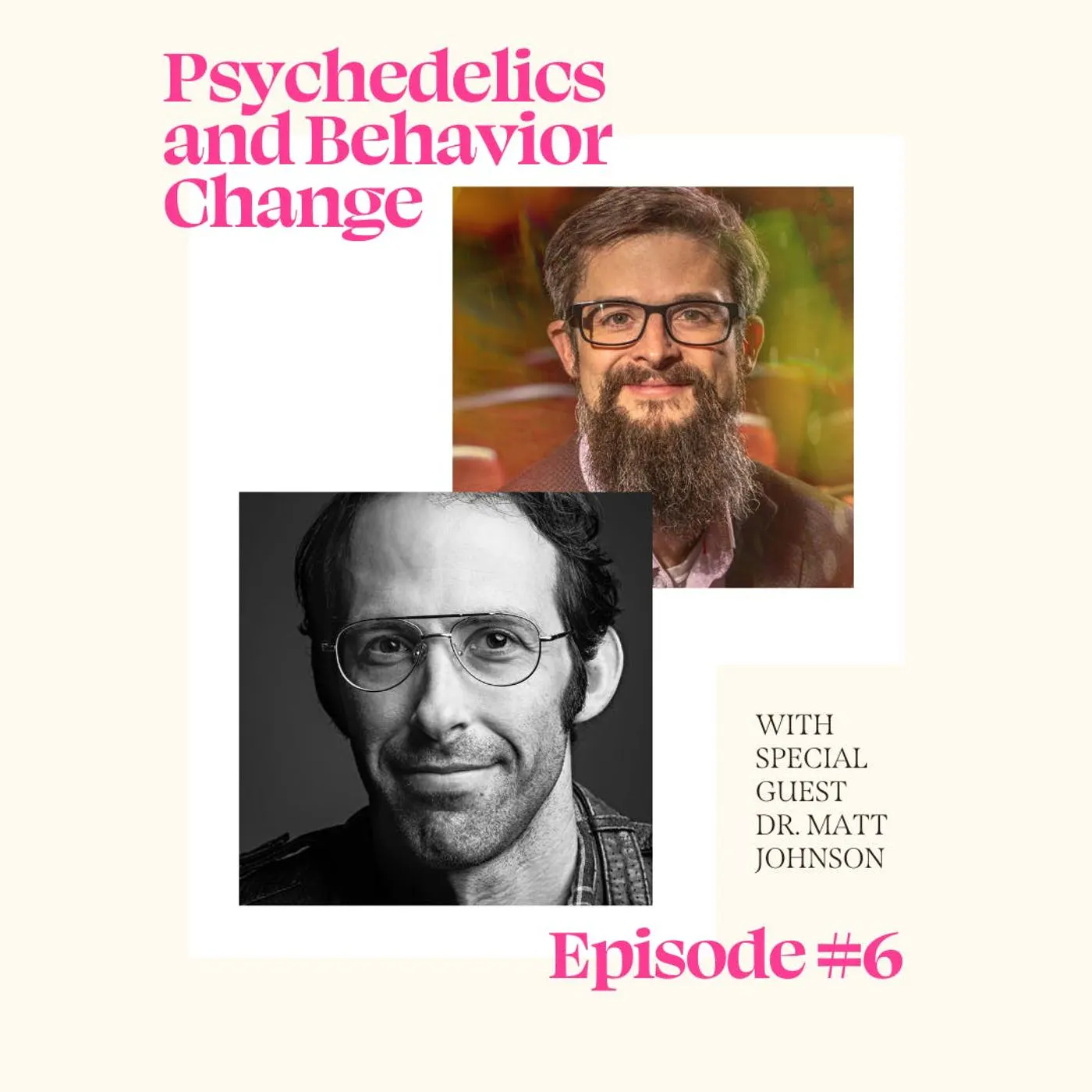 Psychedelics and Behavior Change with Dr. Matthew Johnson — The Psychedelic Report