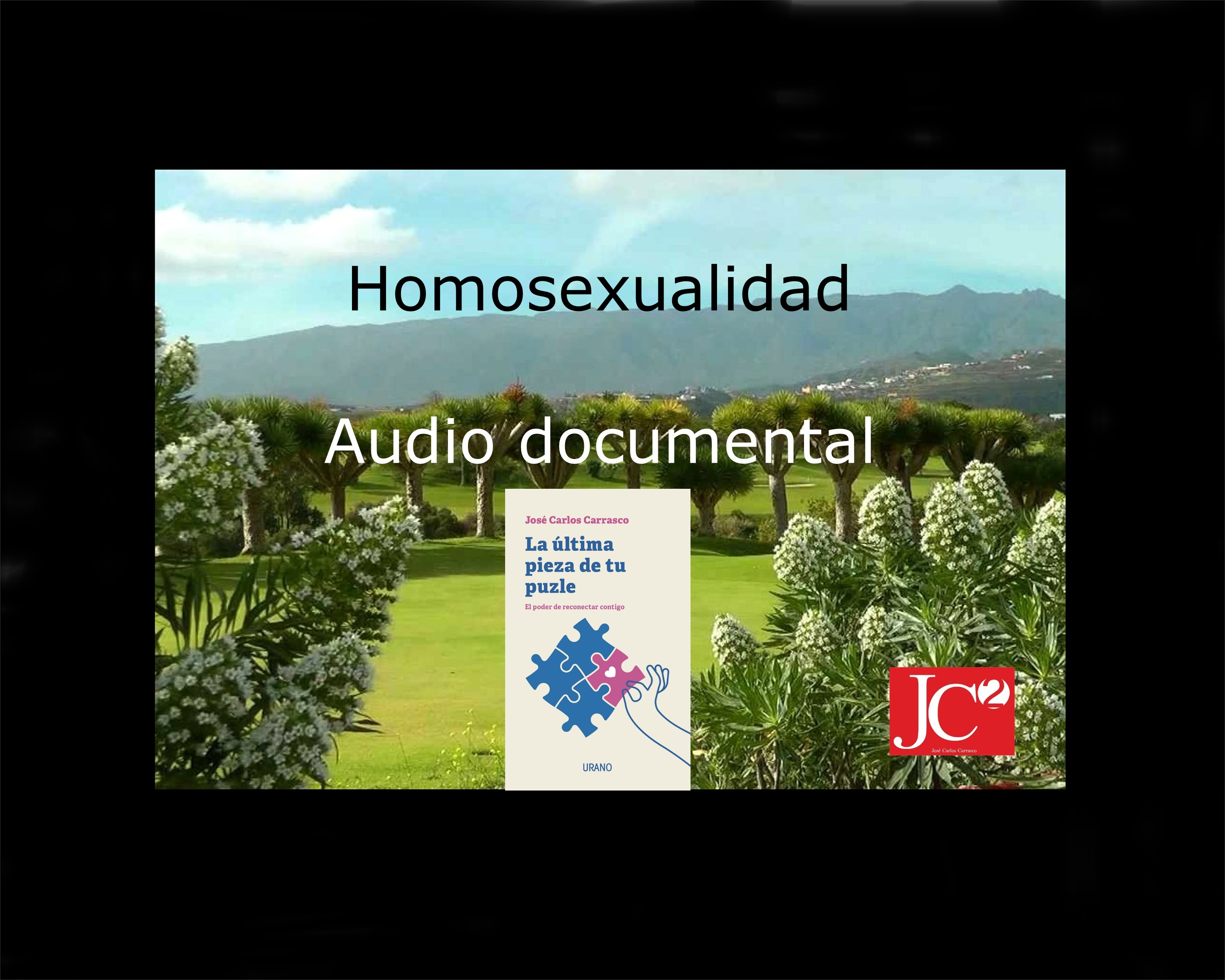 HOMOSEXUALIDAD. AUDIO DOCUMENTAL episode artwork