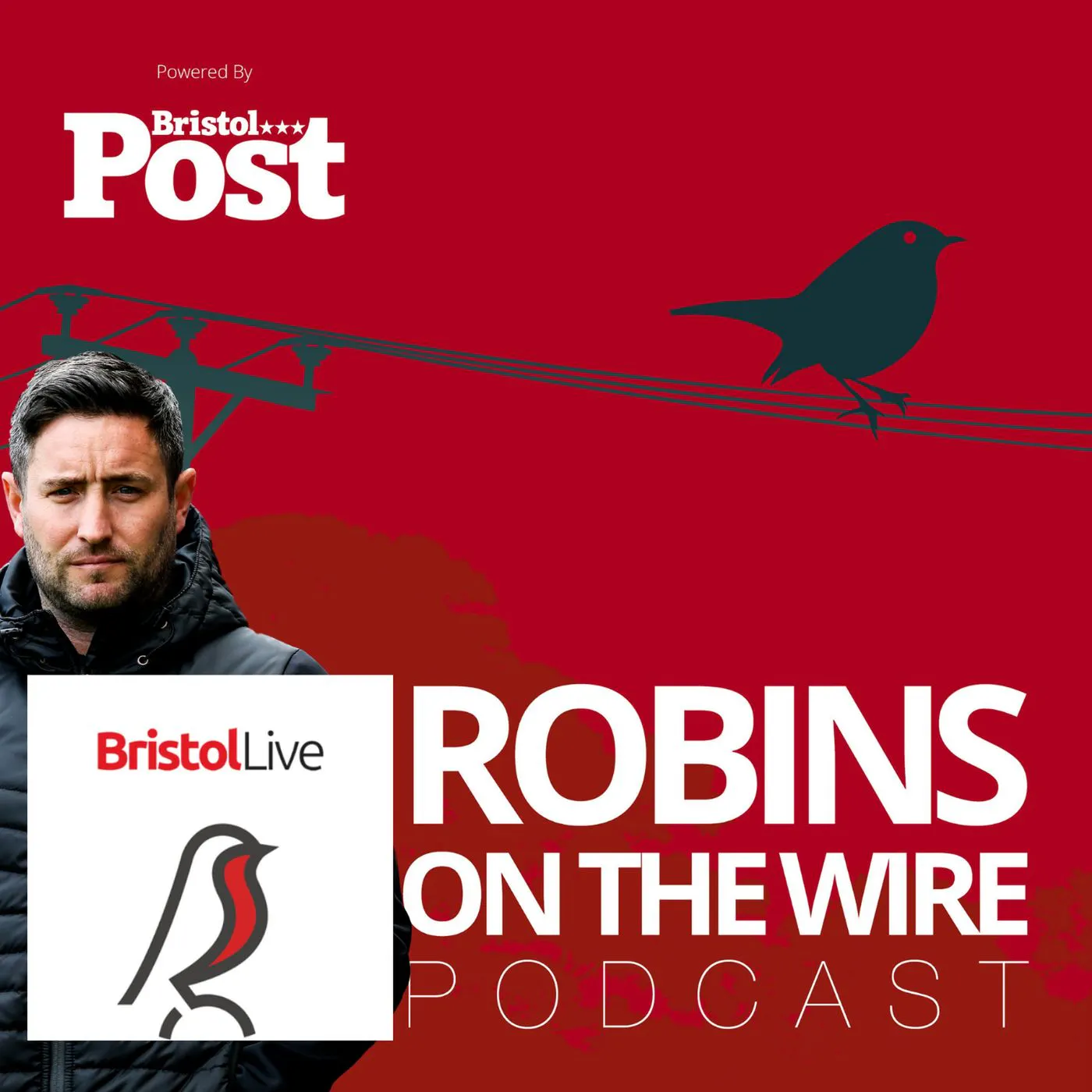 Summer break starts early for Bristol City — Robins on the Wire cover