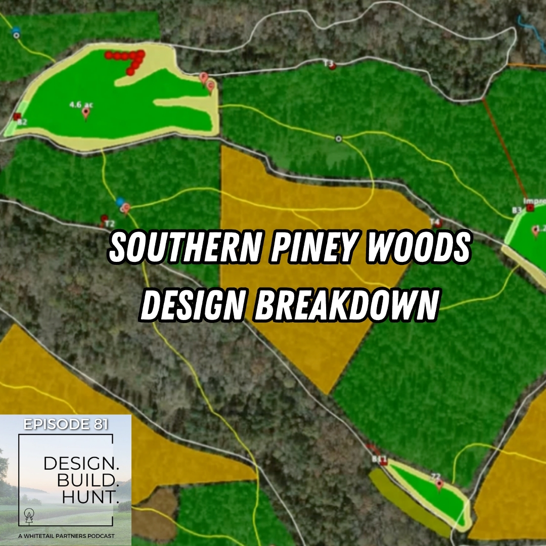 81. Habitat Design Breakdown Series Pt. 4: Southern Pine Habitat Design - How We Build Bedding, Forage & Access