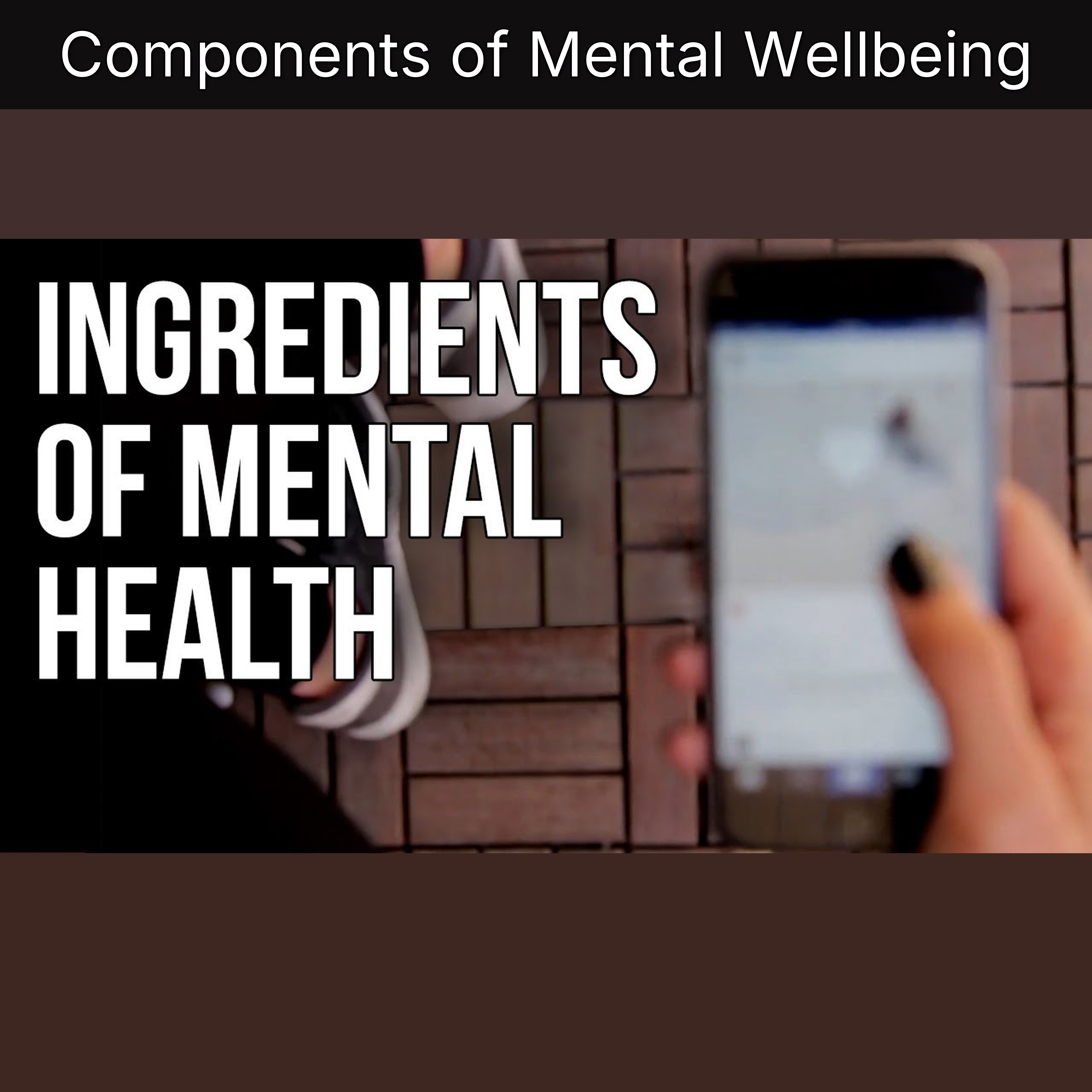 Components of Mental Wellbeing