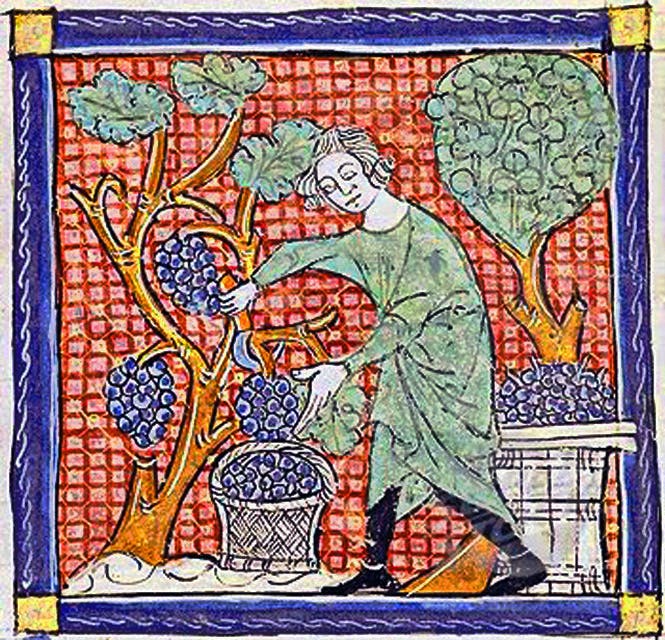 43 – The Medieval Transformation Part 5: Medicine and Mythology