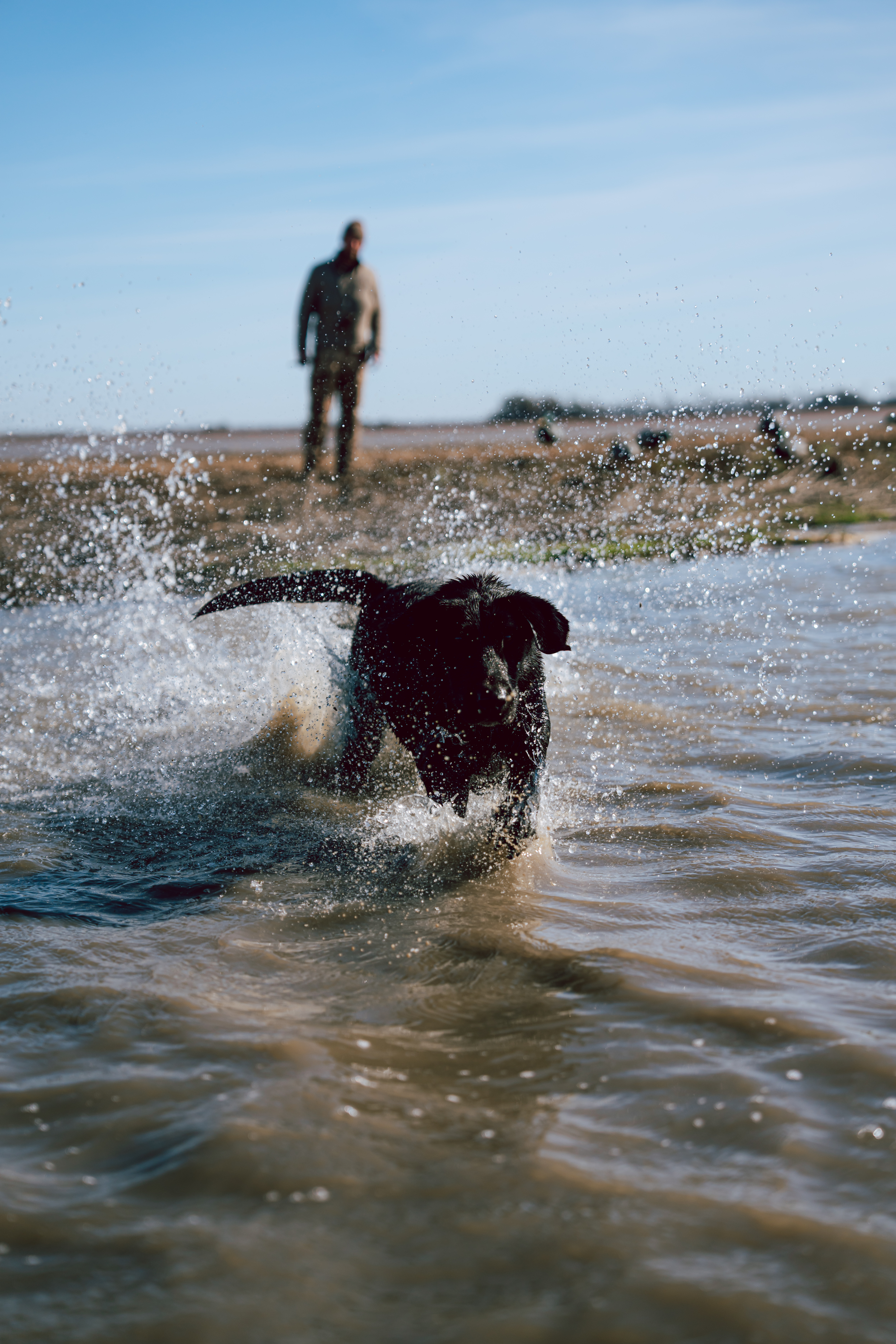 E 273. Pre-winter Training & Dog Training Advice