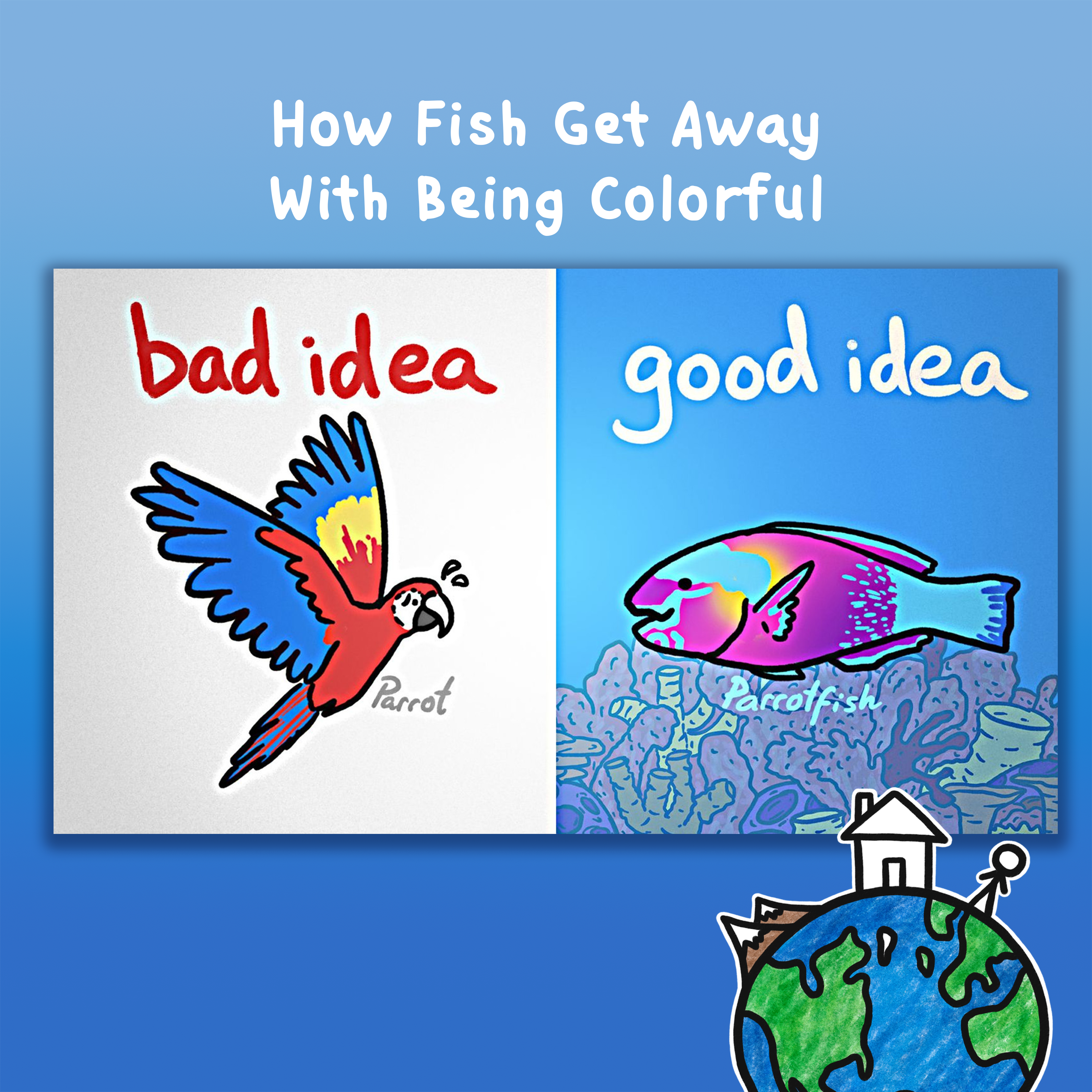 How Fish Get Away With Being Colorful