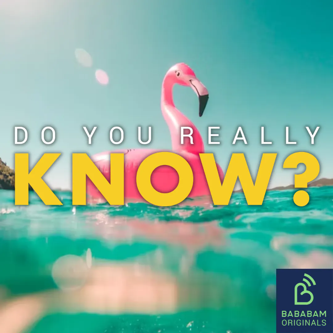 Cover art for the episode "Should my next holiday be a staycation?" from Do you really know?