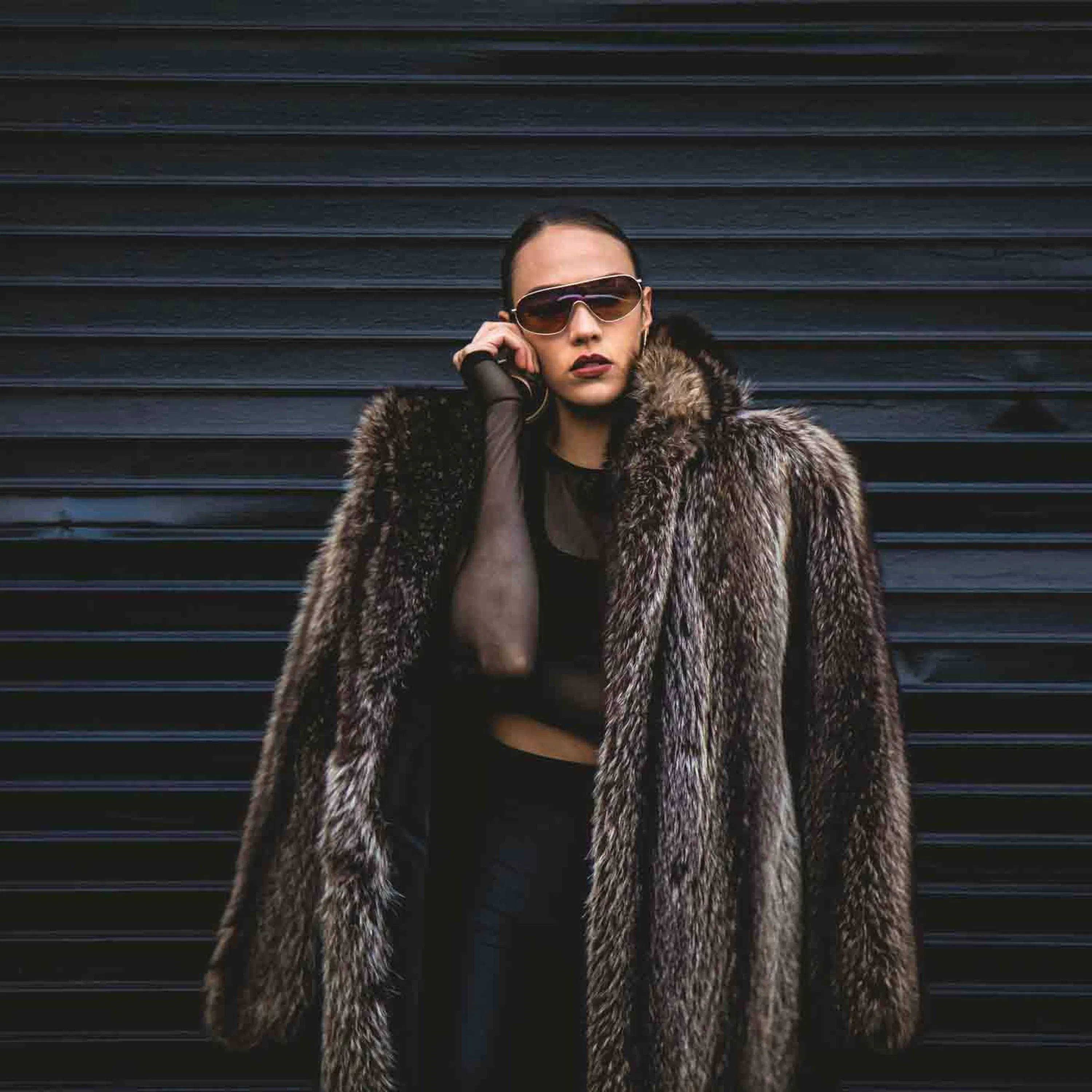 Qu’est-ce qu’un vison ?