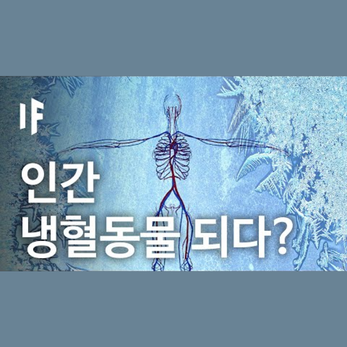 만약에 인간이 냉혈동물이라면? | 만약에 What If Korea episode artwork