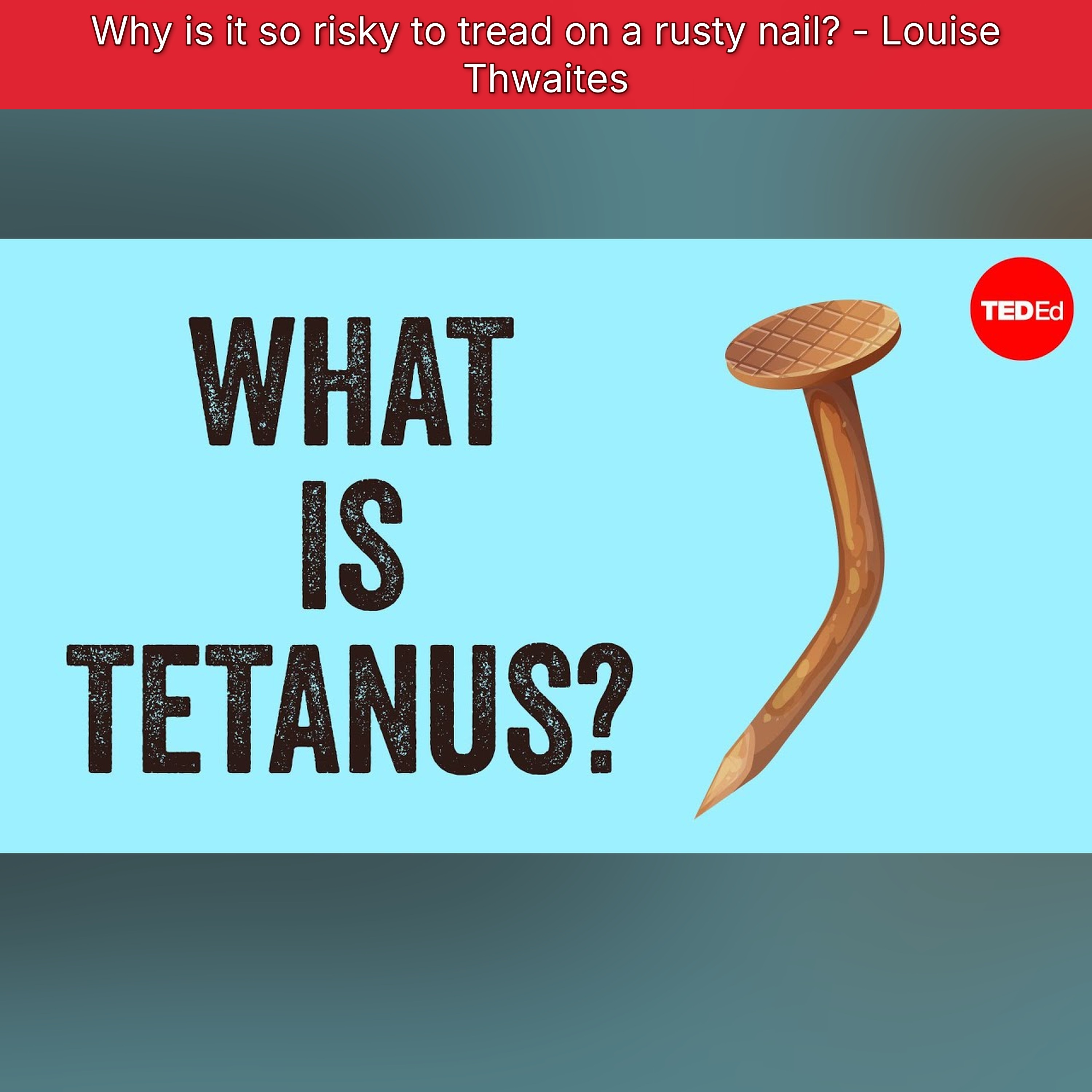TED-Ed