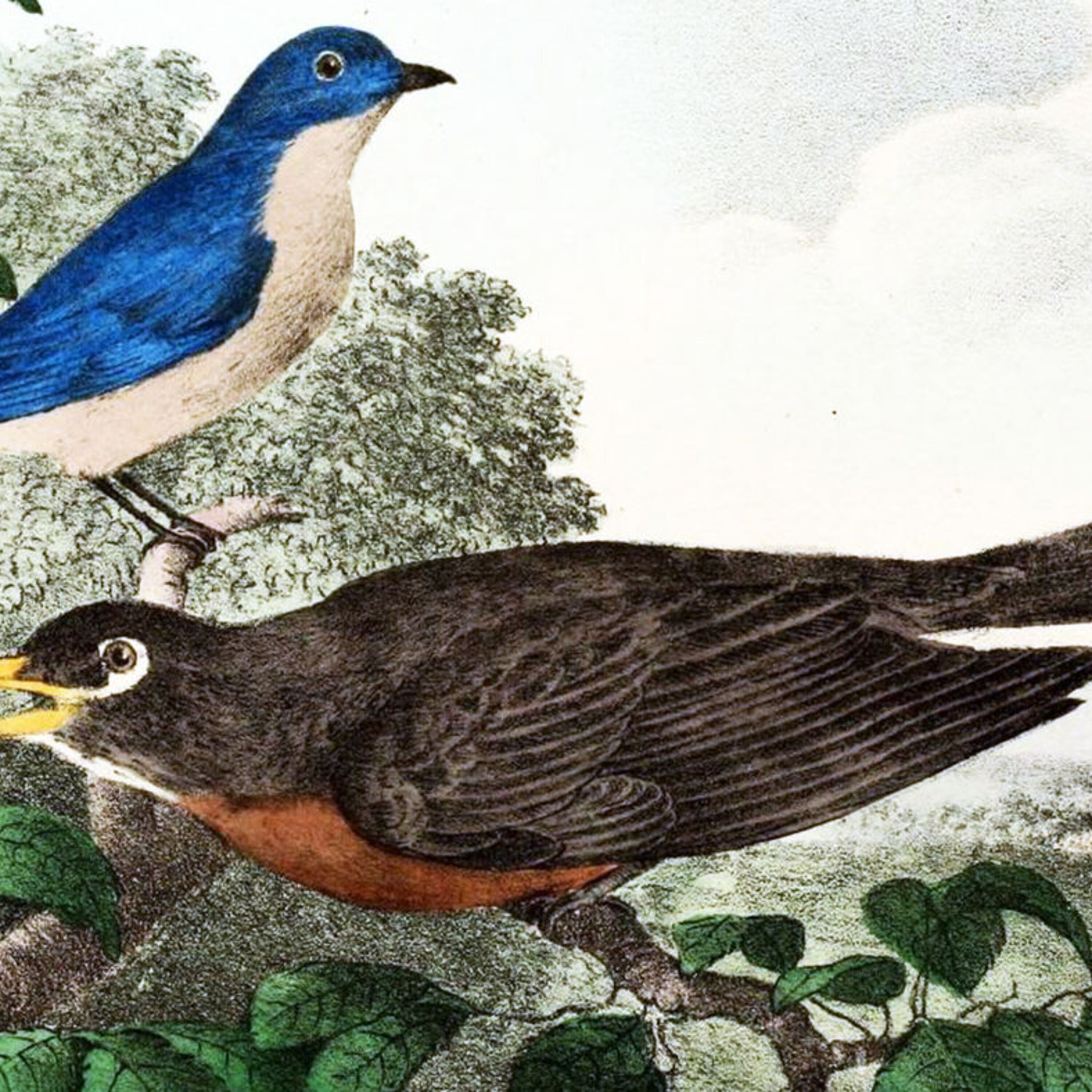 Cooling Earth with asteroid dust, and 3 billion missing birds