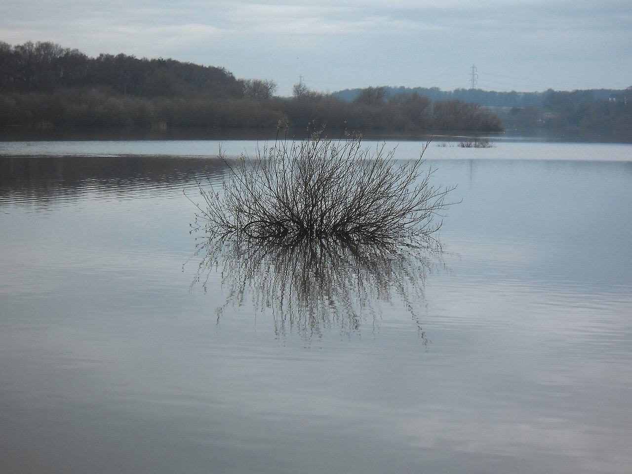 Episode 190 – Here Be Shrubs: On Algernon Blackwood's 'The Willows'