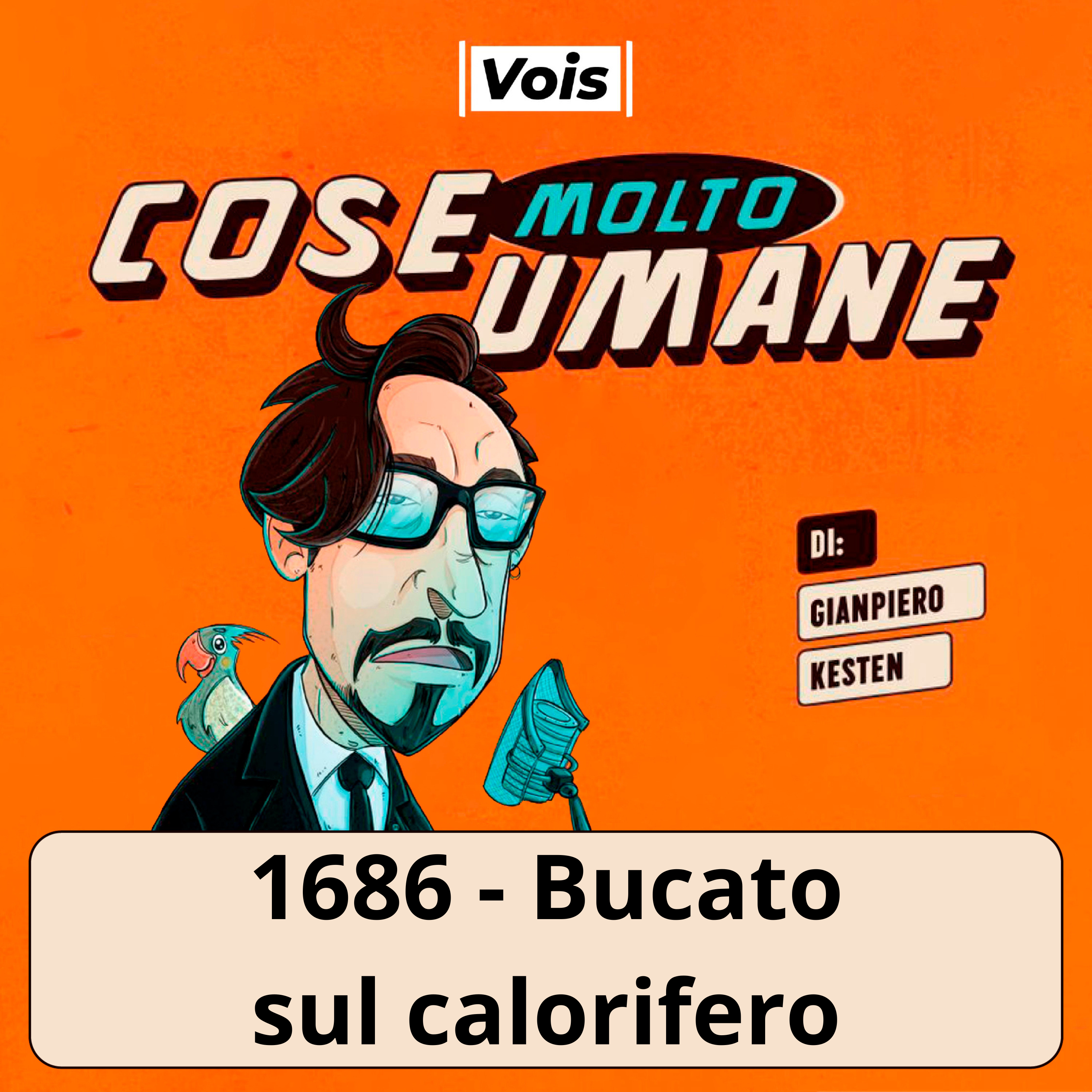 1686 - Bucato sul calorifero