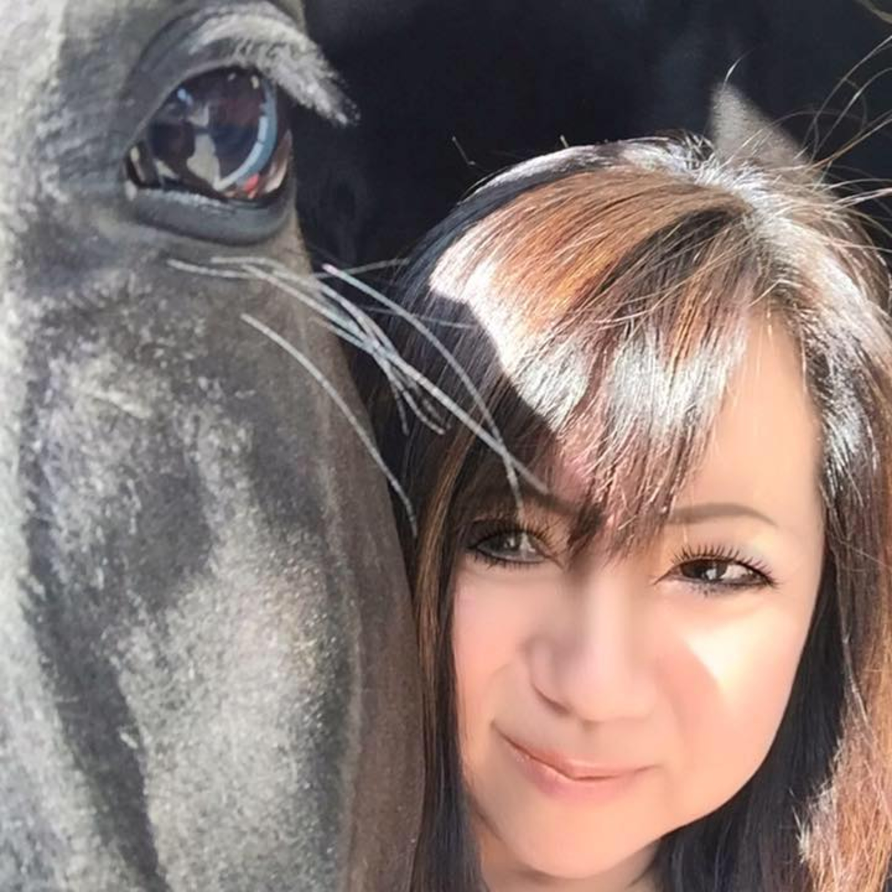 27 - The Serial Entrepreneur | Kathy Yamaguchi, Epique Equestrian episode artwork