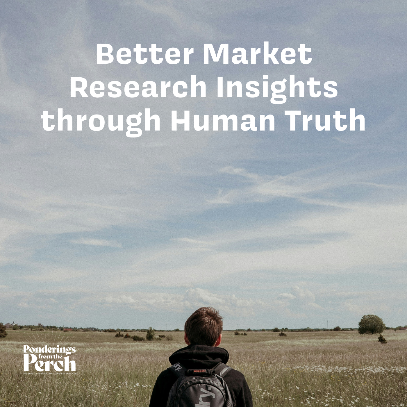 Better Market Research Insights through Human Truth episode artwork