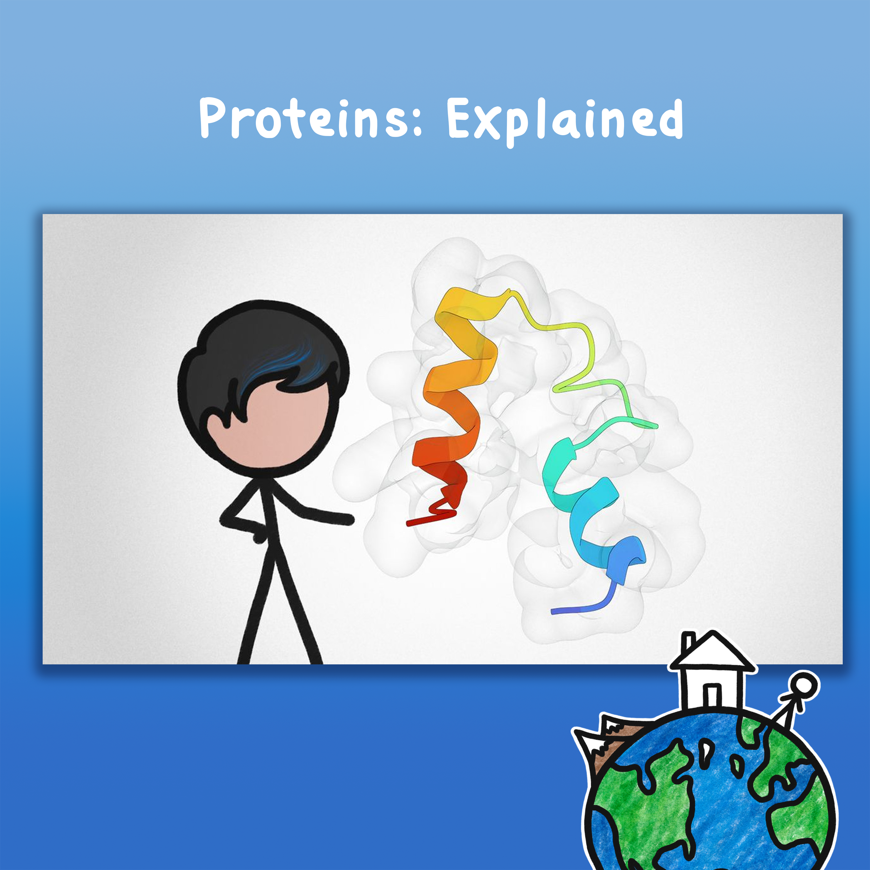 Proteins: Explained