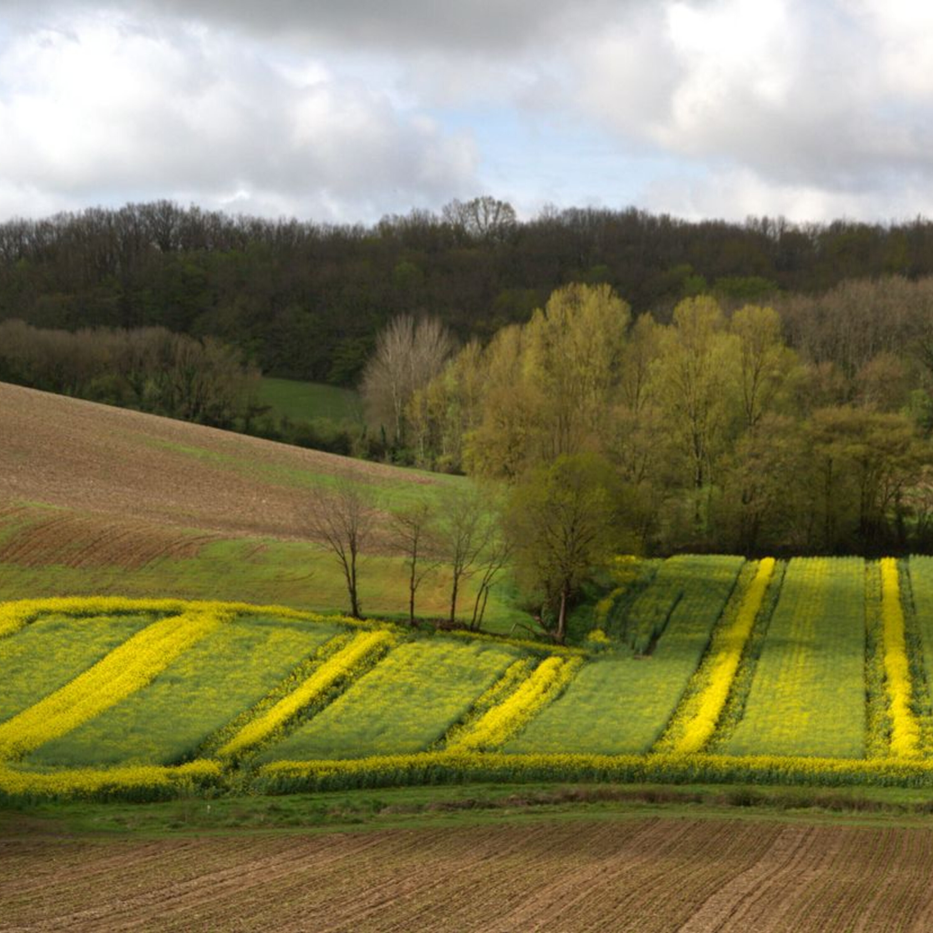 Where our microbiome came from, and how our farming and hunting ancestors transformed the world