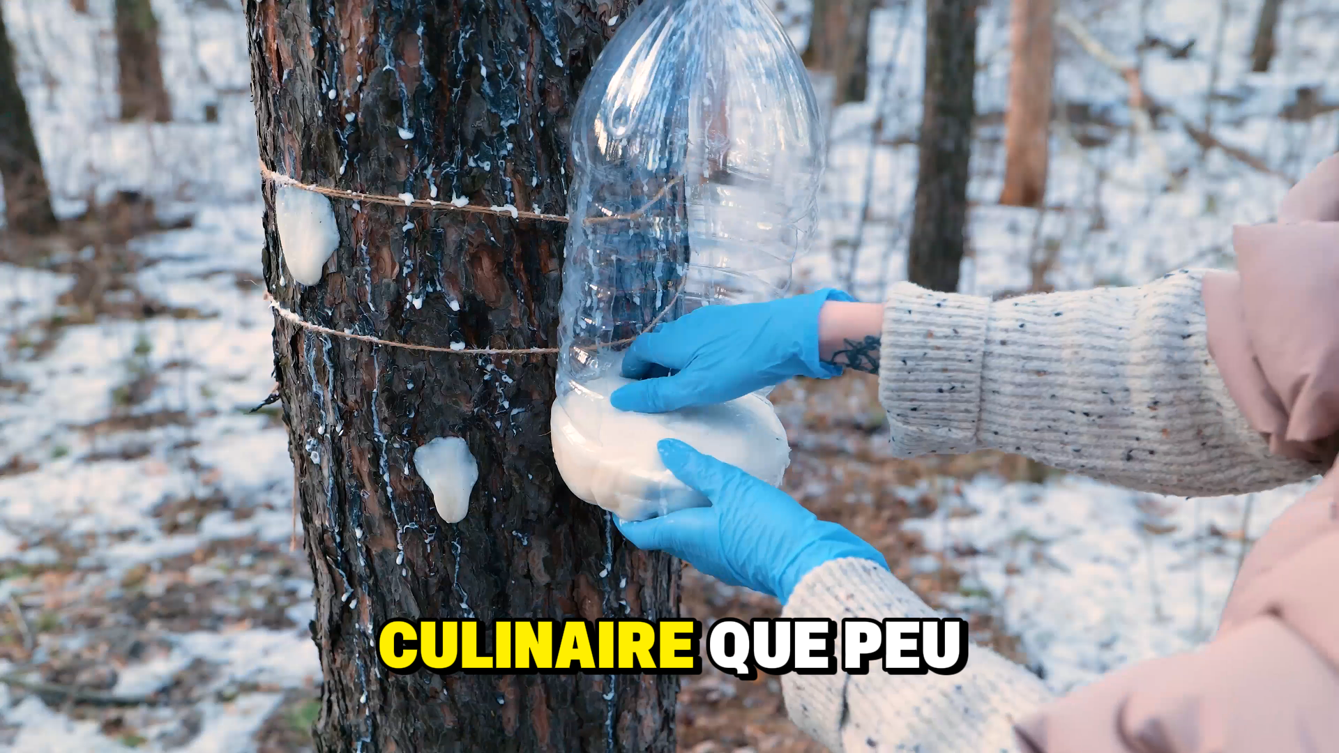Œuf Centenaire Maison – Surprenez Vos Invités episode artwork