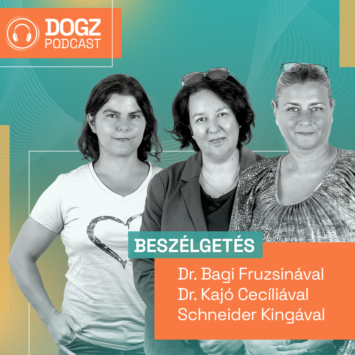 Állatkínzók és szaporítók országa? - Kiből lesz felelős kutyatartó?