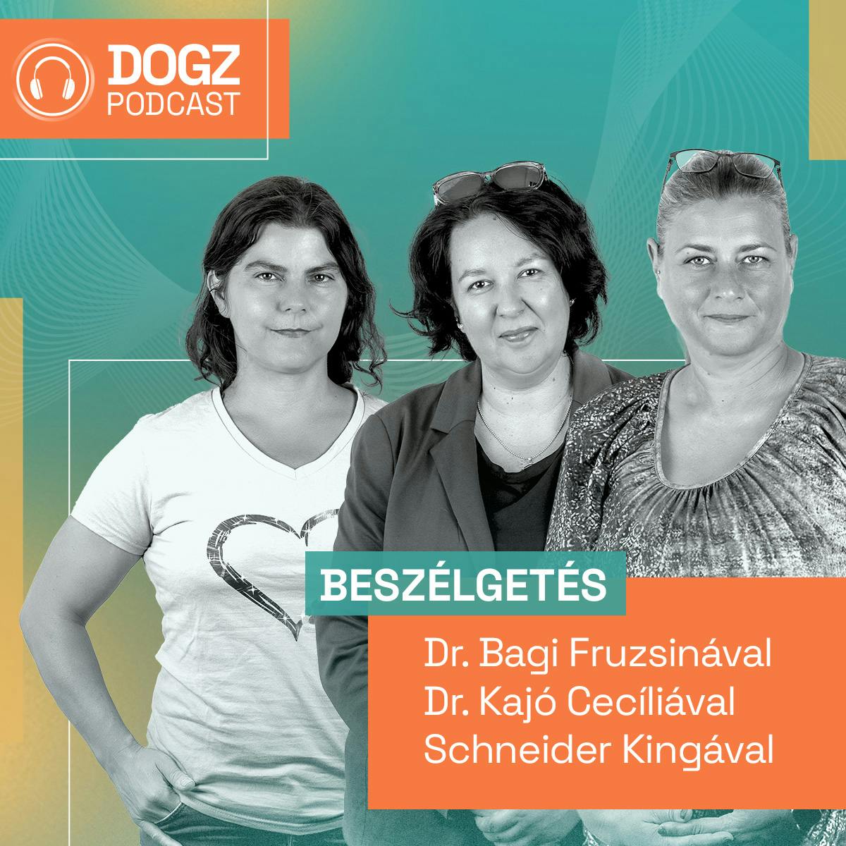 Állatkínzók és szaporítók országa? - Kiből lesz felelős kutyatartó? Állatkínzók és szaporítók országa? - Kiből lesz felelős kutyatartó?