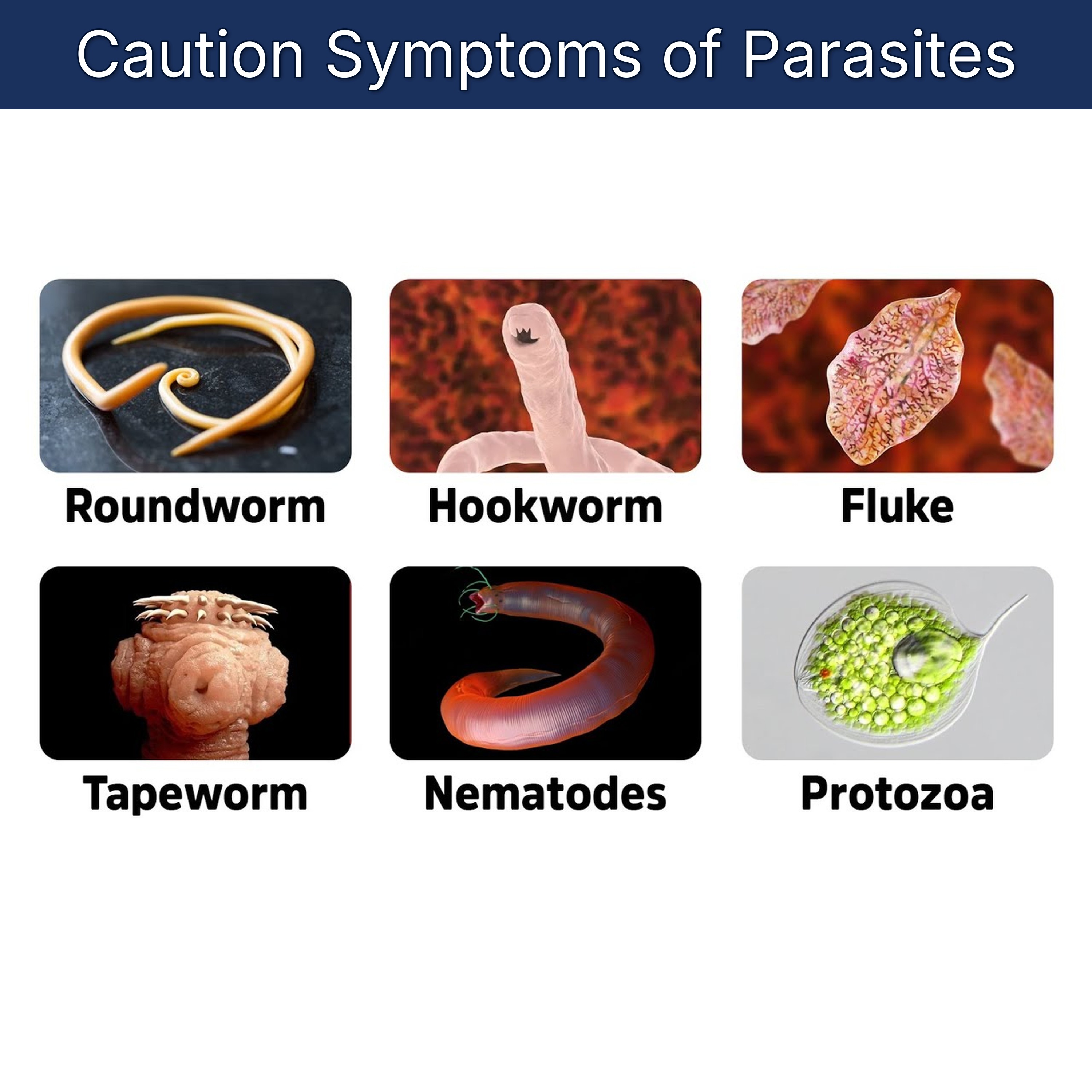 Caution Symptoms of Parasites