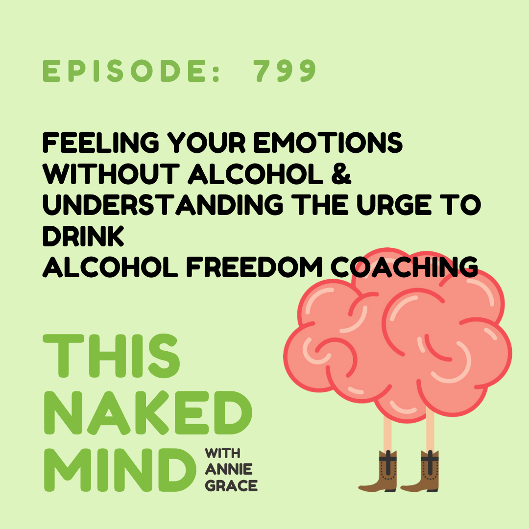Feeling Your Emotions Without Alcohol | Understanding the Urge to Drink | Alcohol Freedom Coaching | E799