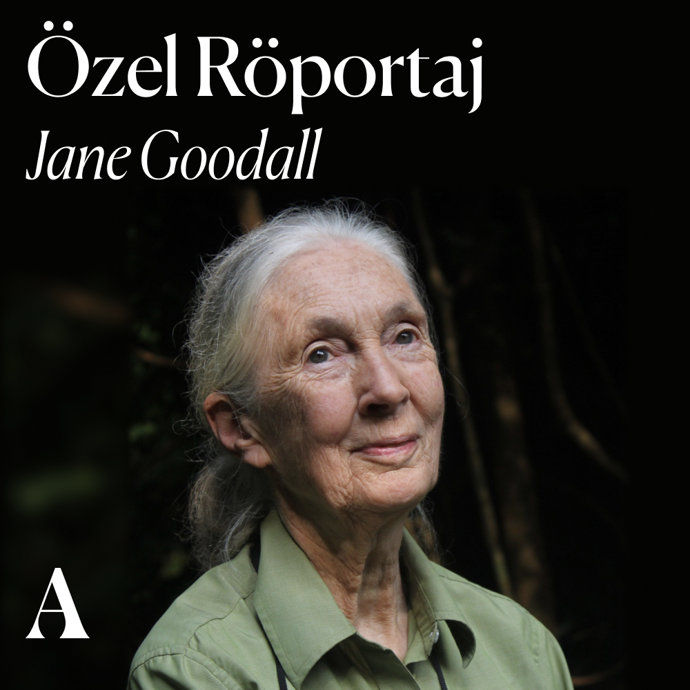 Özel röportaj: Dr. Jane Goodall ile umuda dair