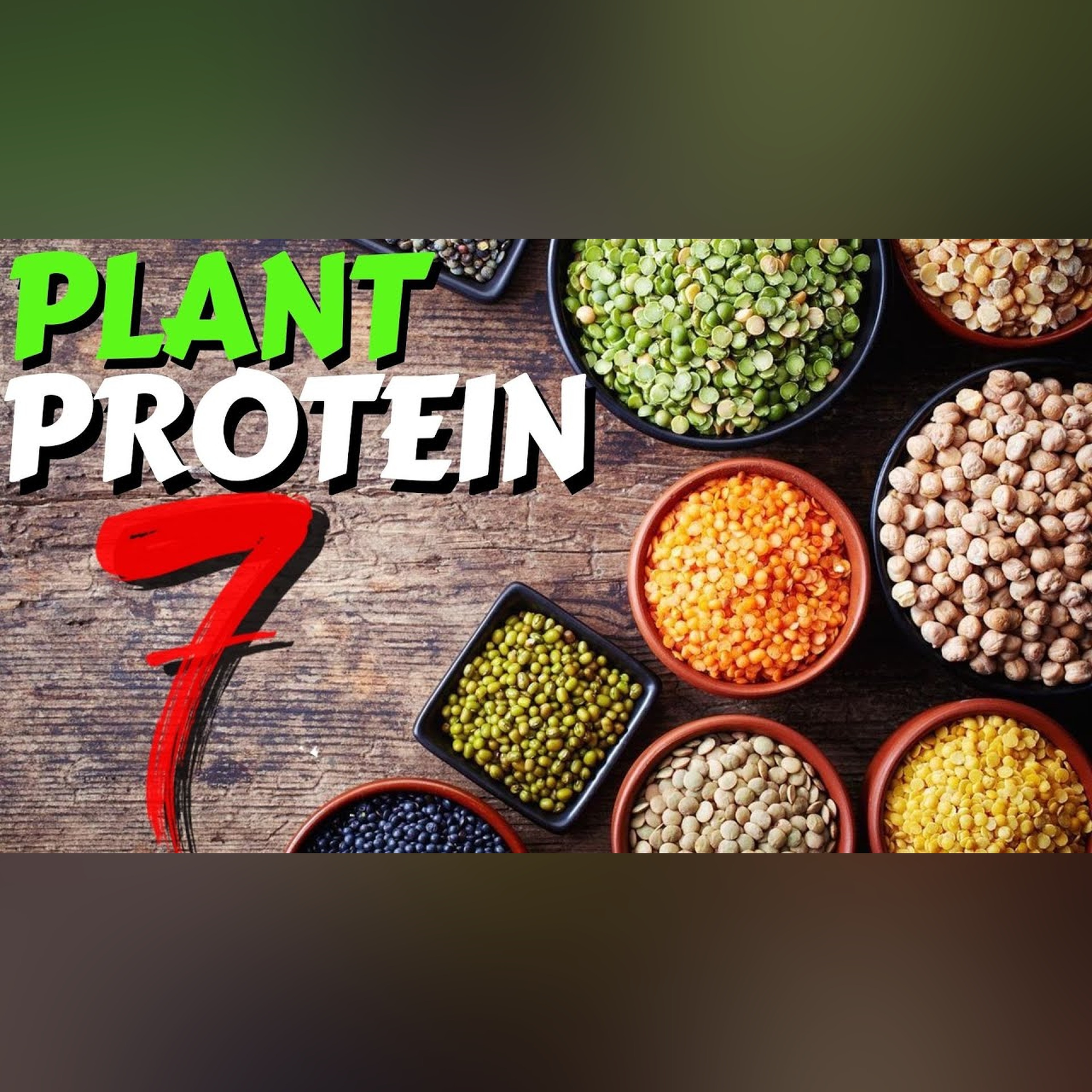 Top 7 Sources of Plant Protein