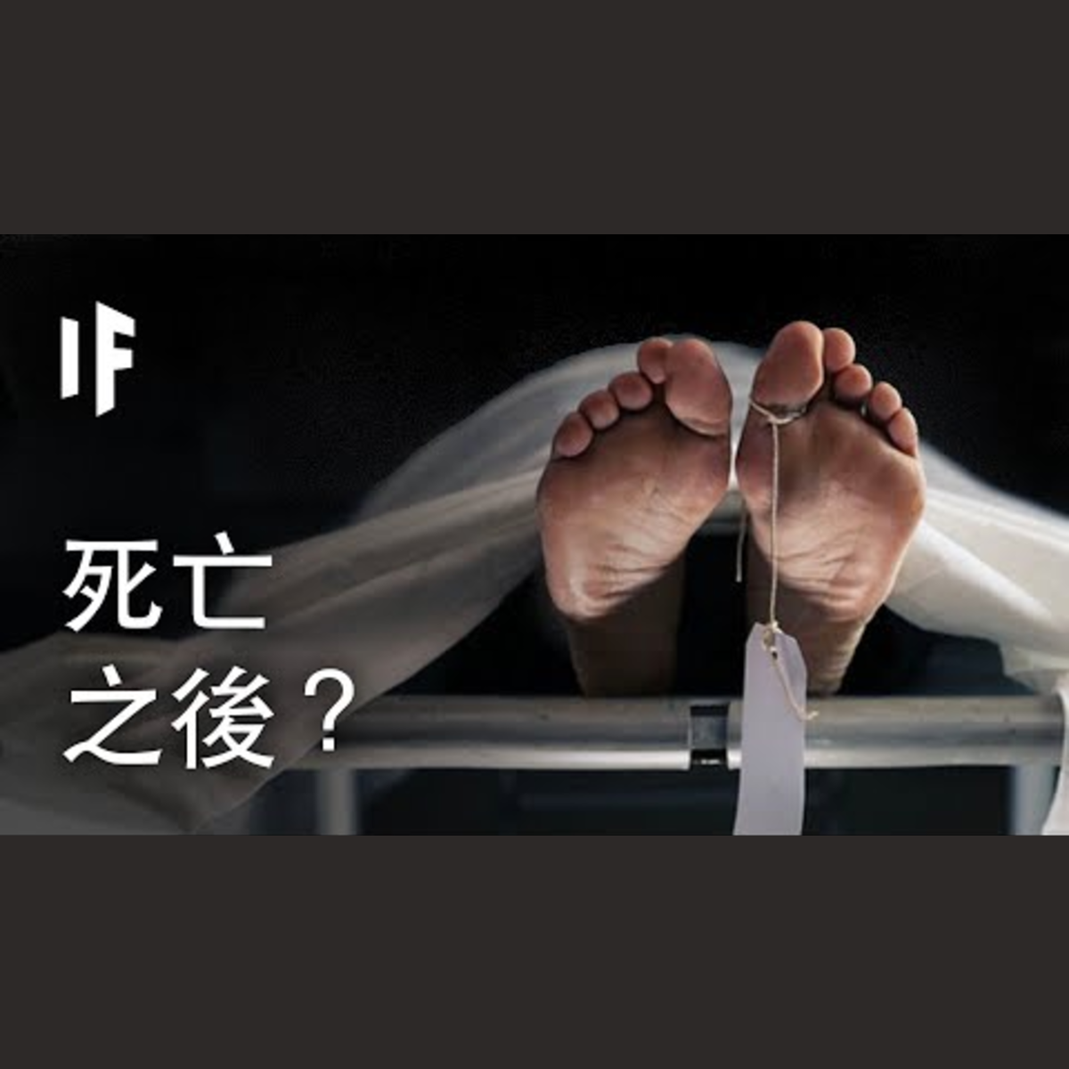 如果你死後？| 大膽科學 episode artwork