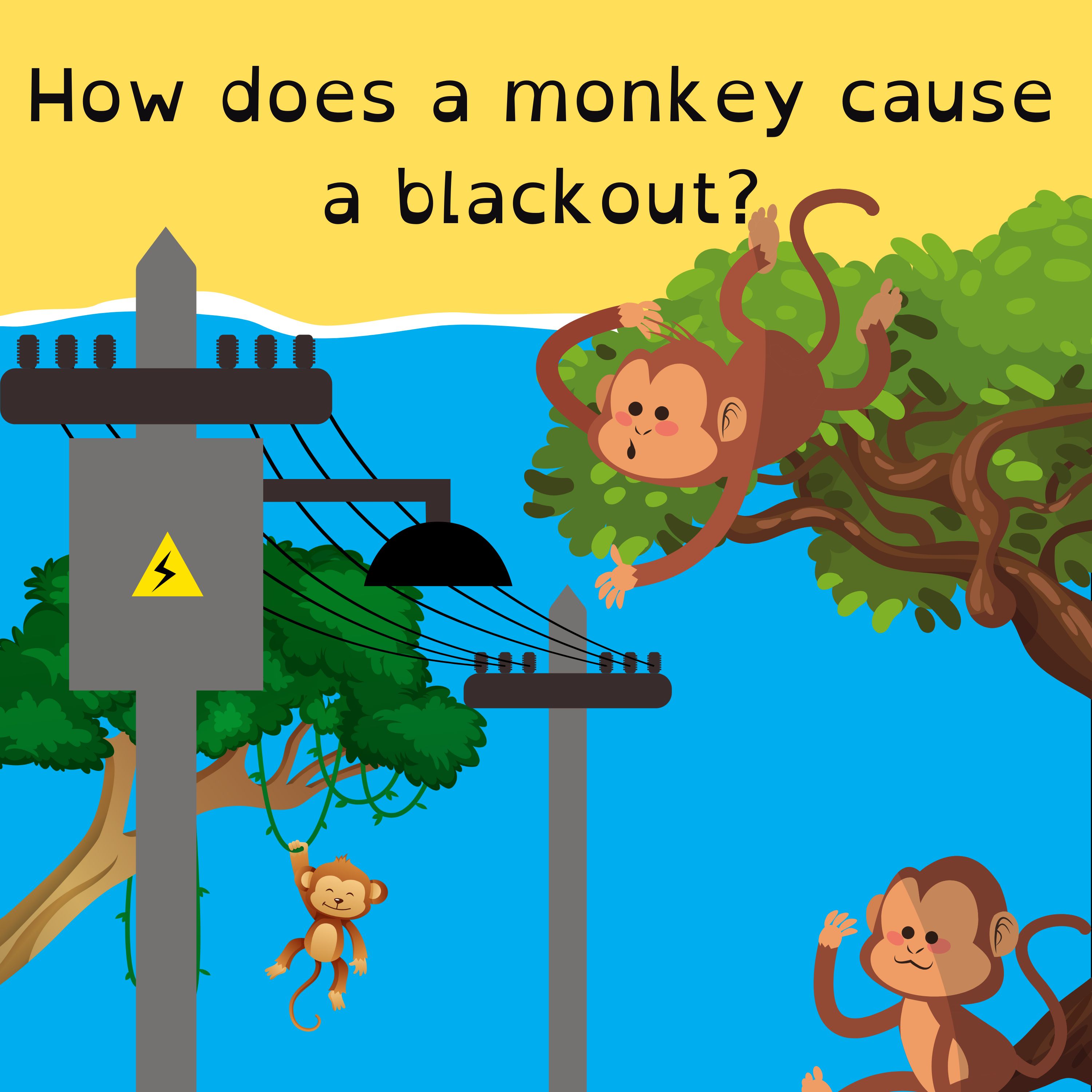 Invictus Games inspire the world; monkey causes Sri Lankan blackout; the Harry Potter bin bargain; and Squiz-E’s world tour.