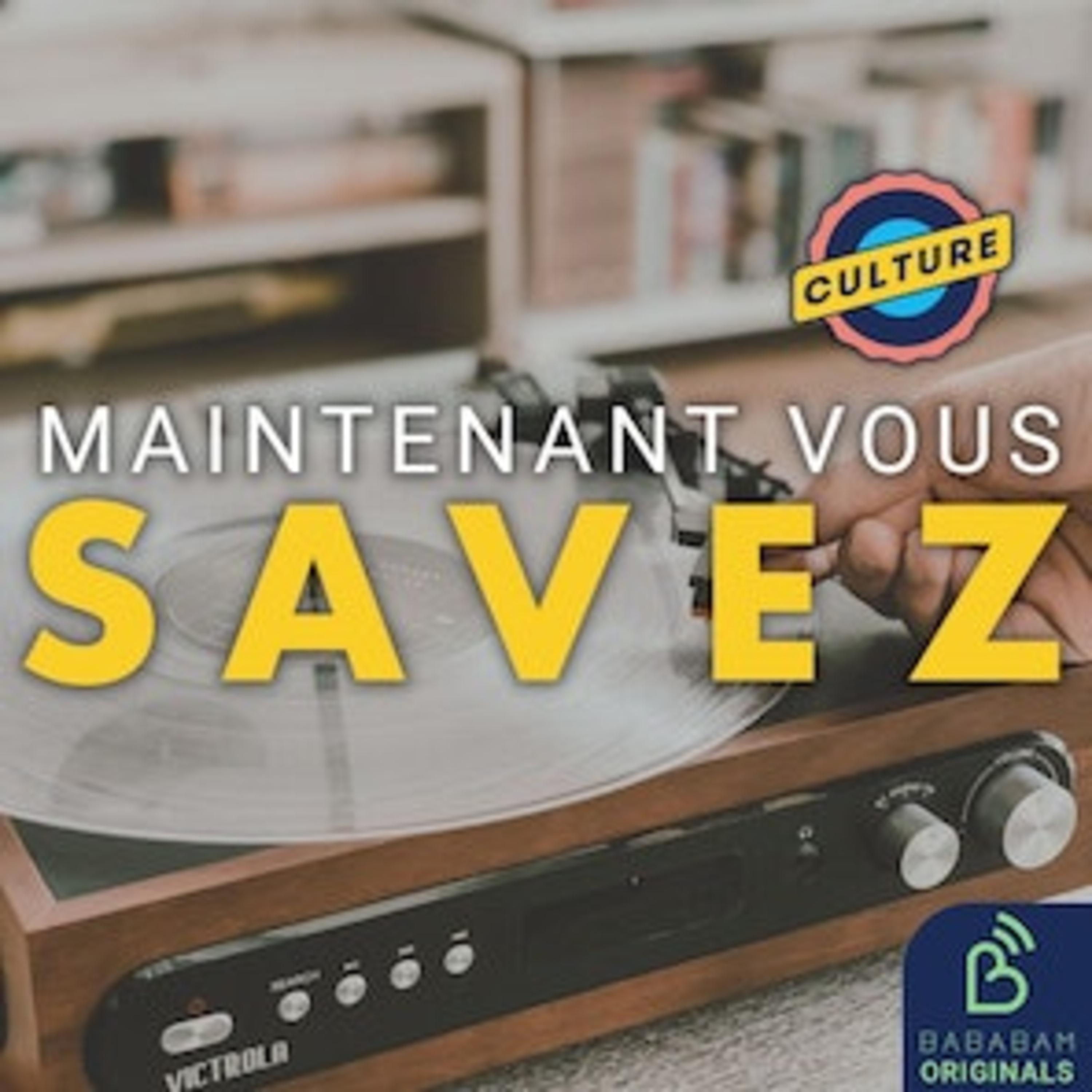 Quelles sont les 3 astuces pour acheter des vinyles sans se ruiner ?
