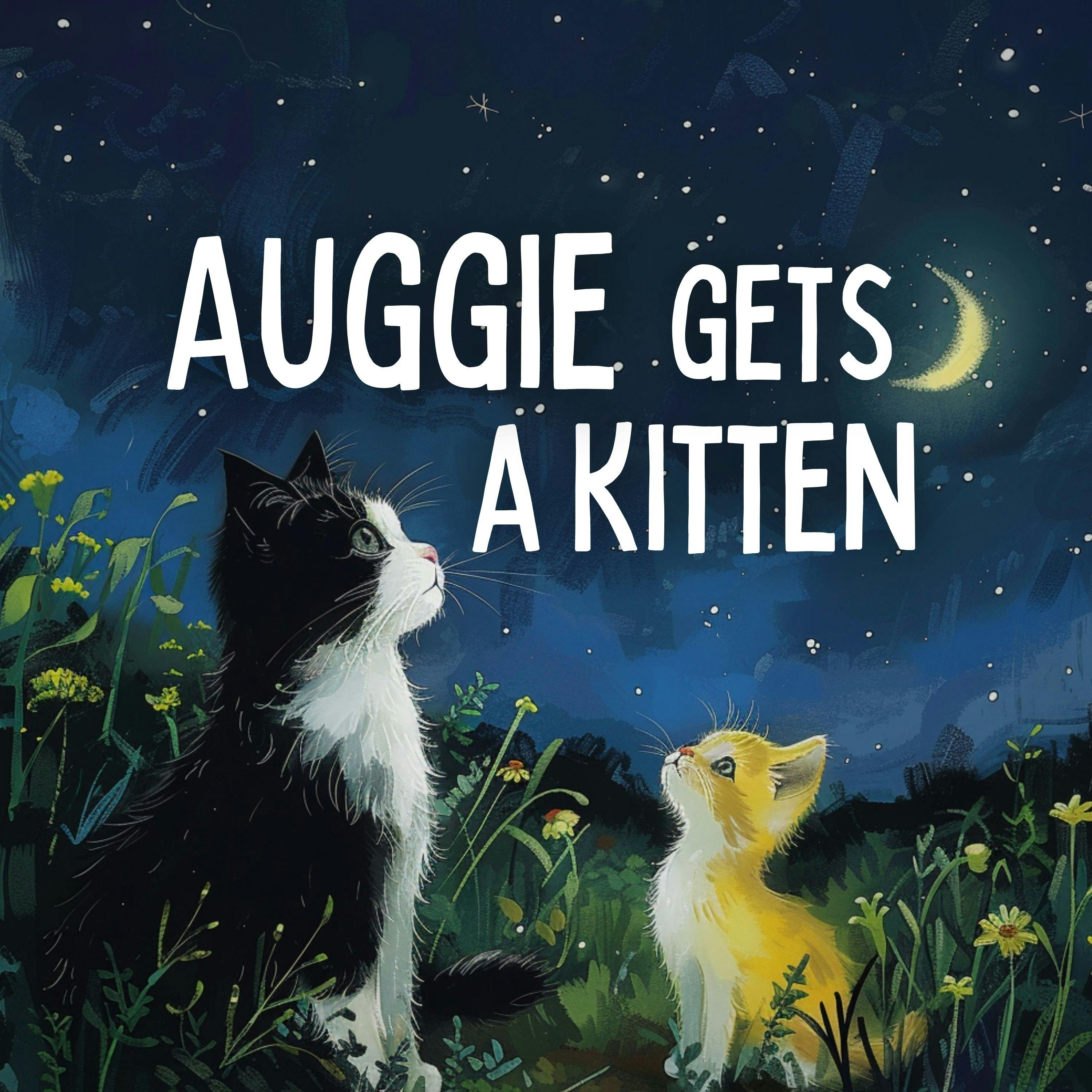 Auggie Gets a Kitten