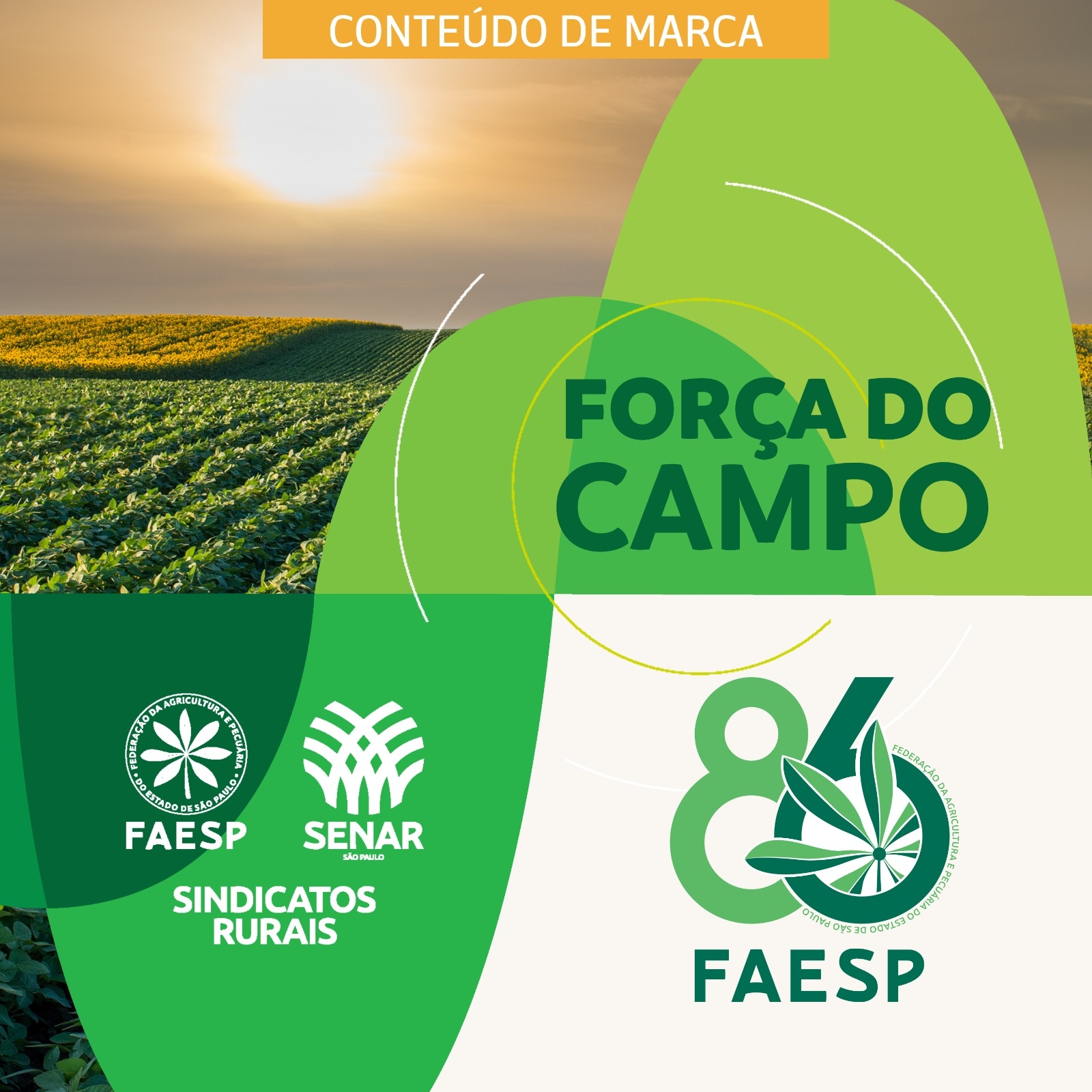 FAESP 86 ANOS