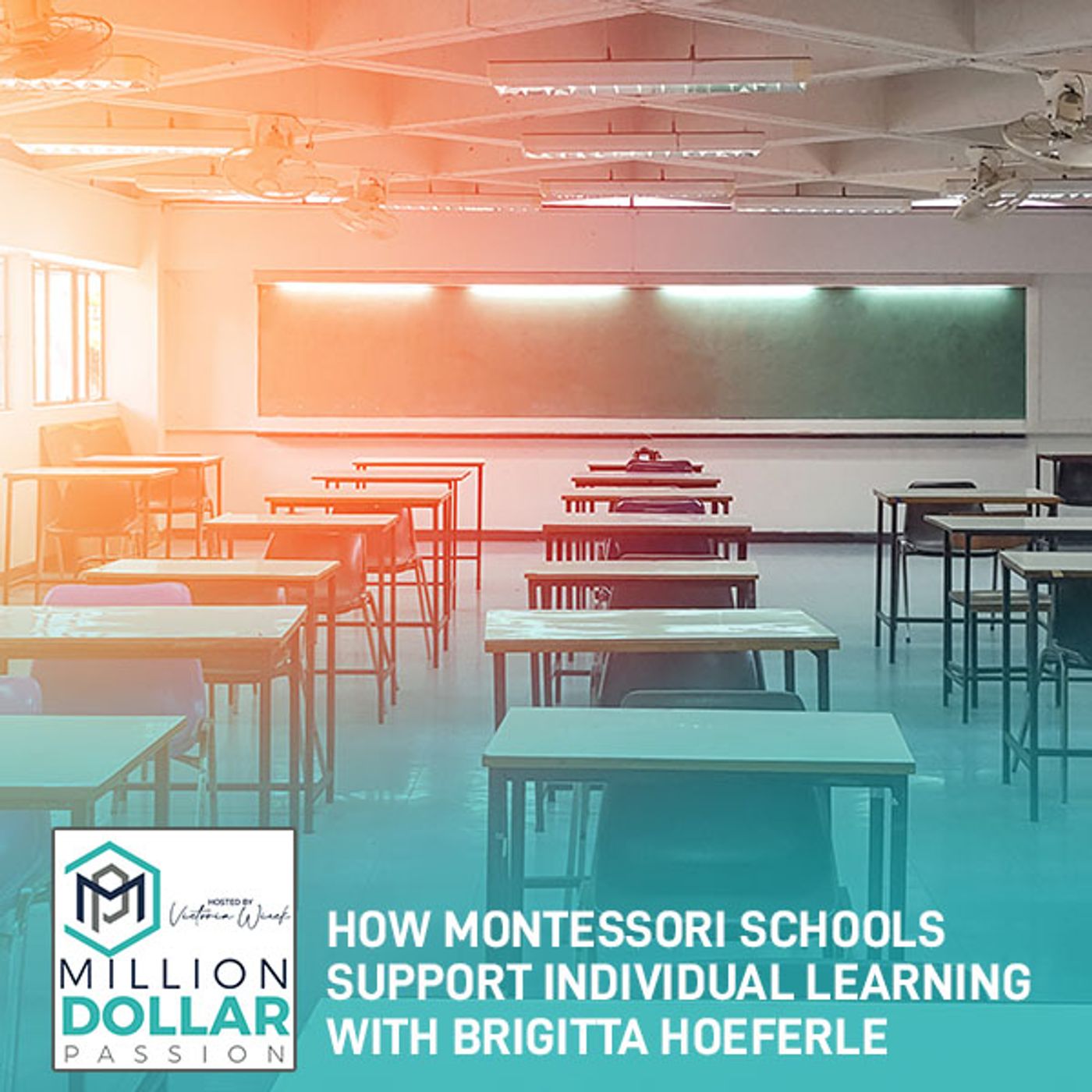 How Montessori Schools Support Individual Learning With Brigitta Hoeferle episode artwork