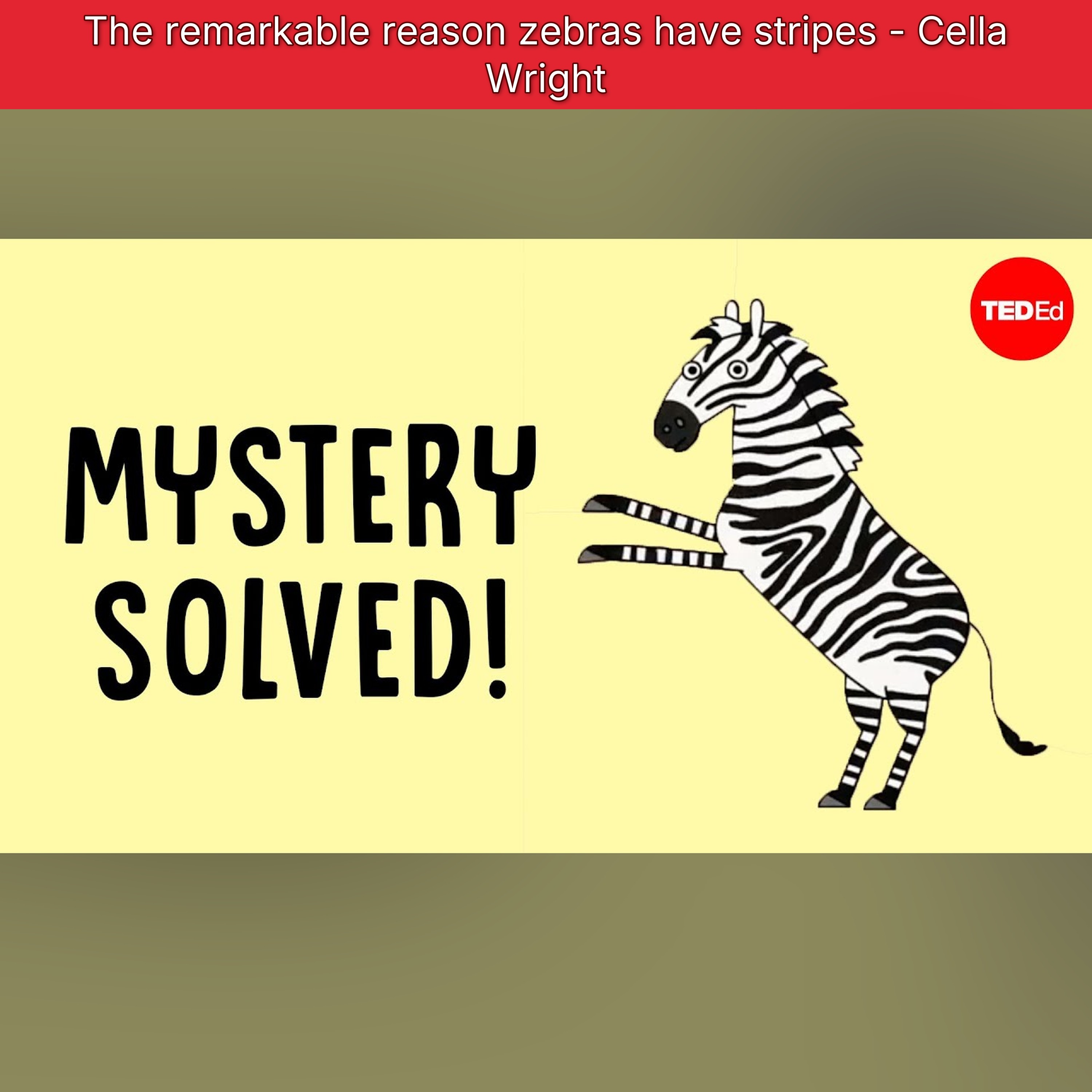 The remarkable reason zebras have stripes - Cella Wright episode artwork