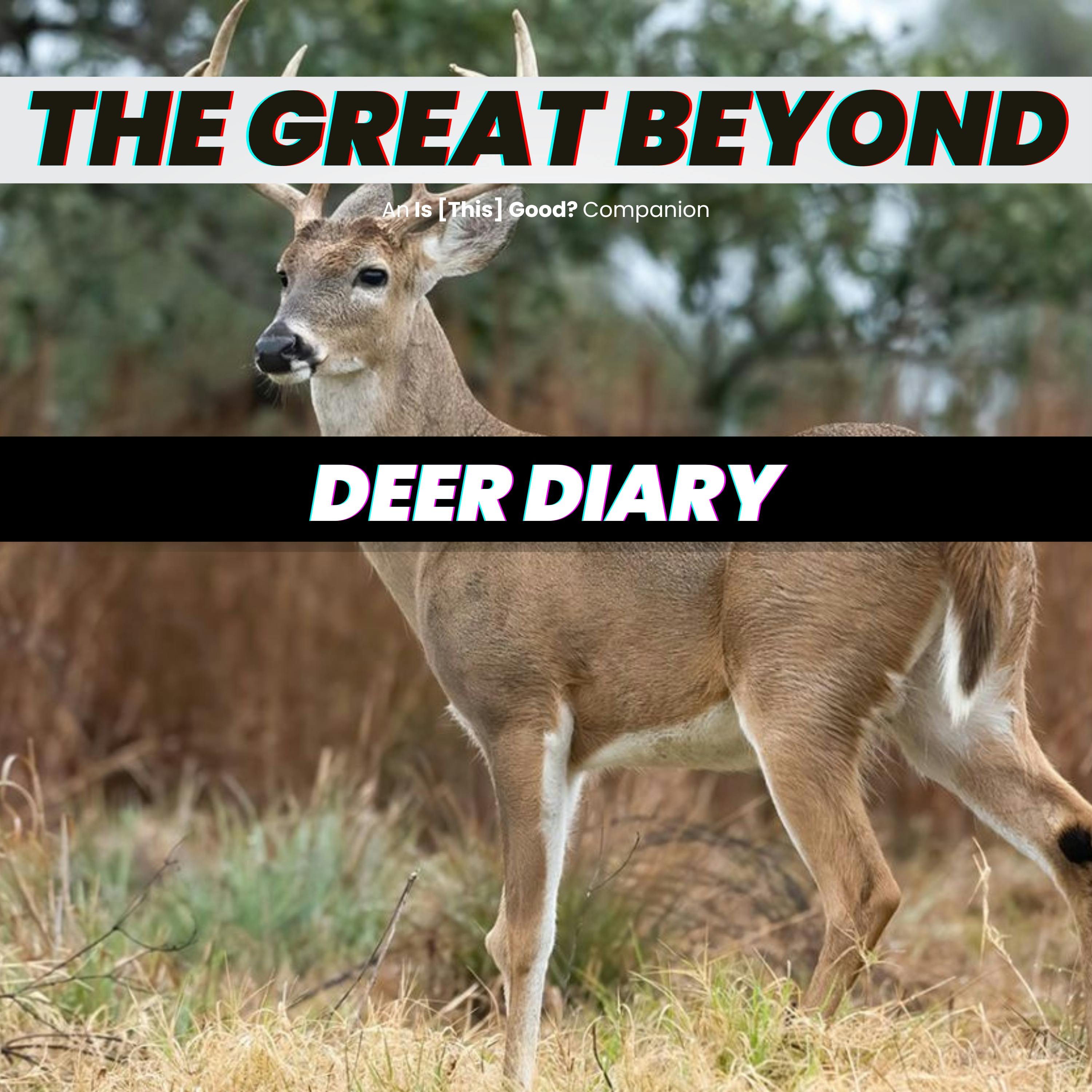 Matt & JD | Deer Diary