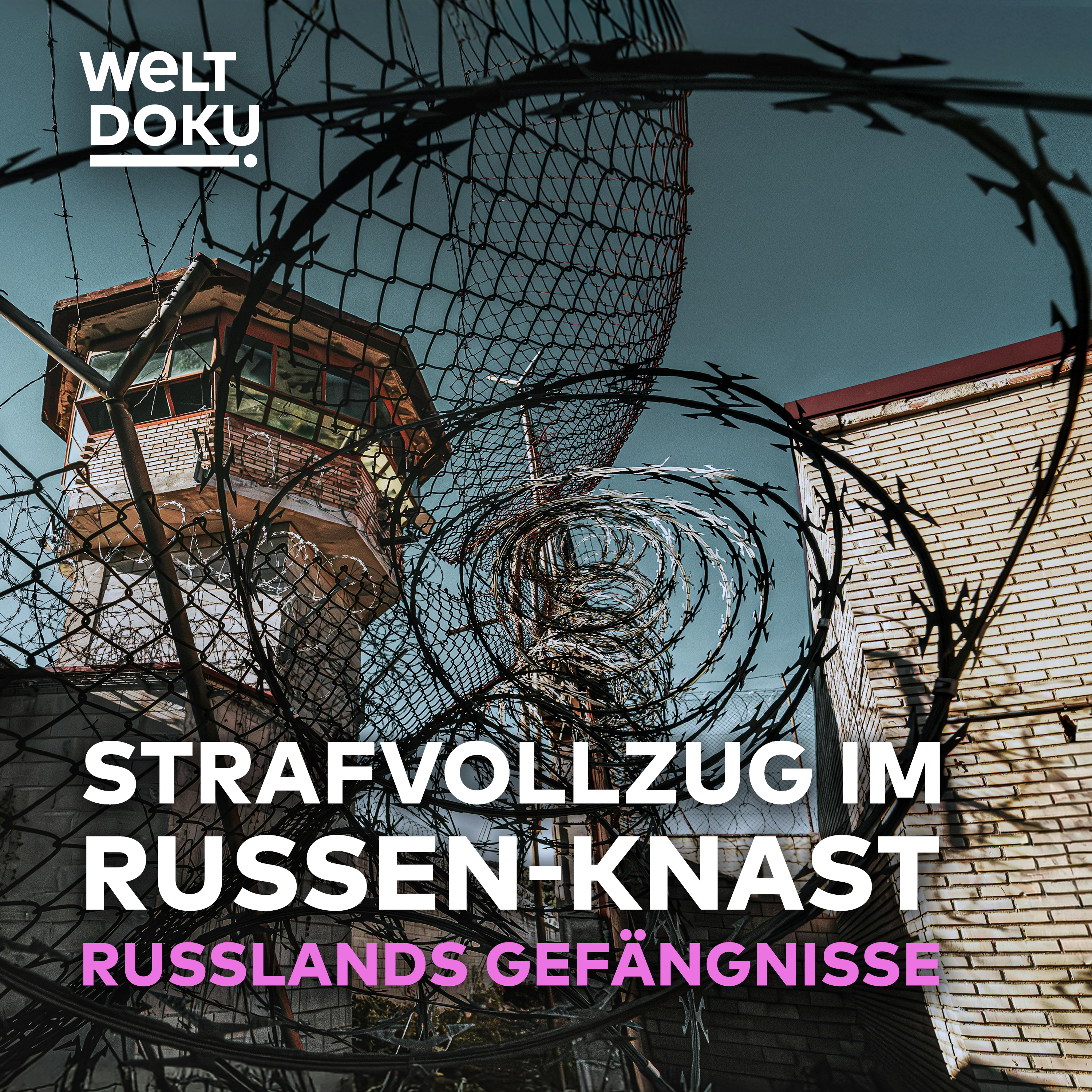 HINTER GITTERN: Leben unter Tätern – der Strafvollzug im Russen-Knast! episode artwork