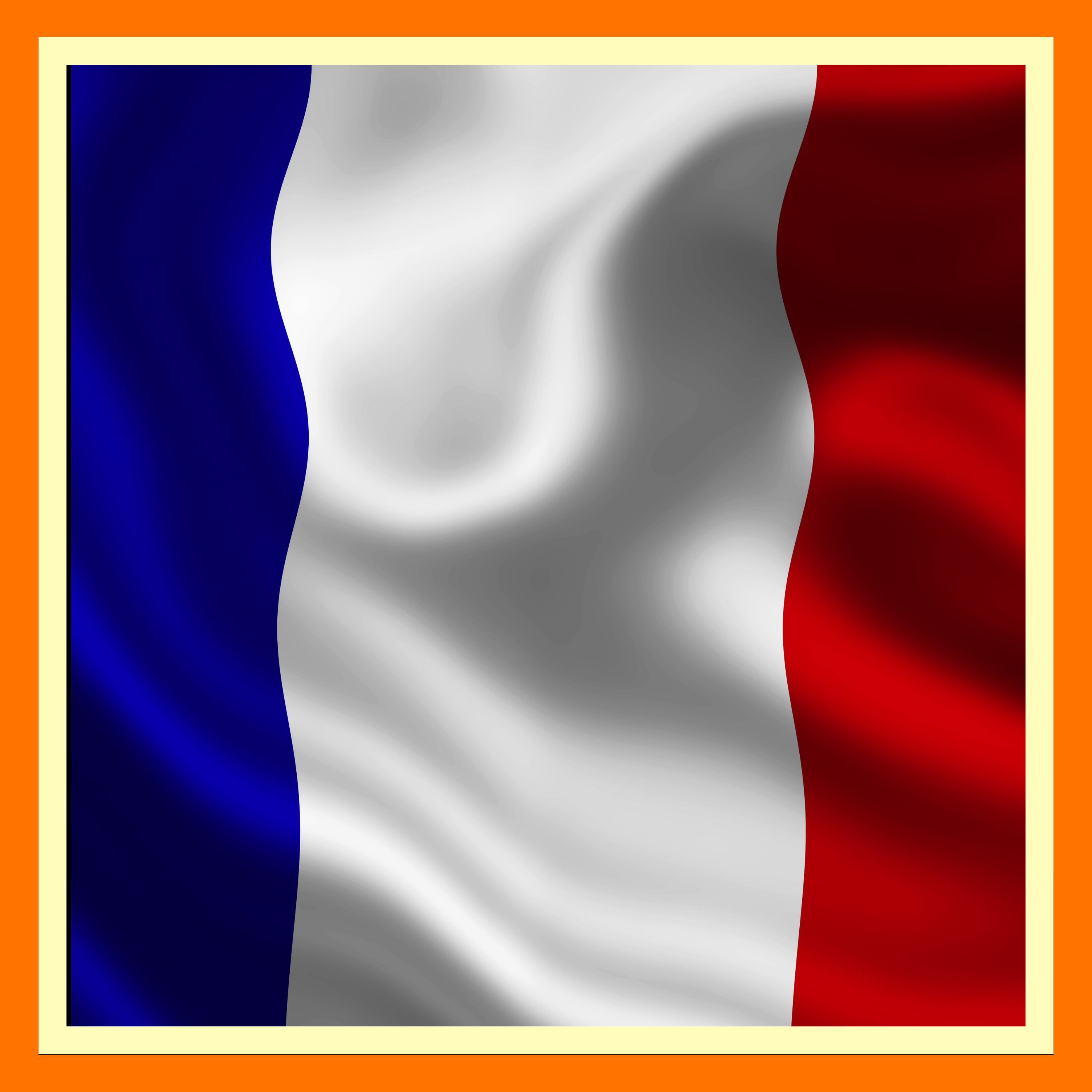 The Rise Of The French Dynasty