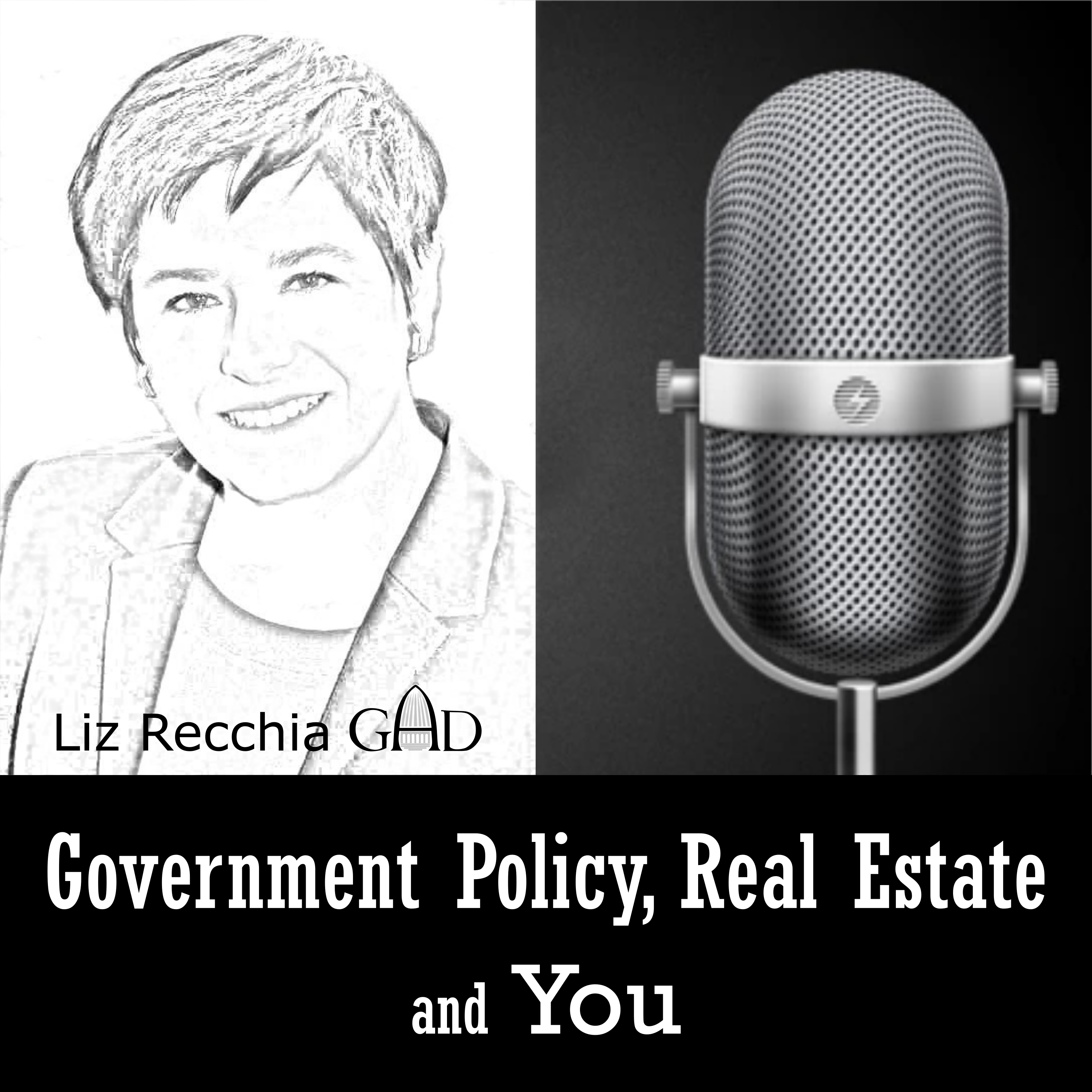 Government Policy, Real Estate and You! with Liz Recchia