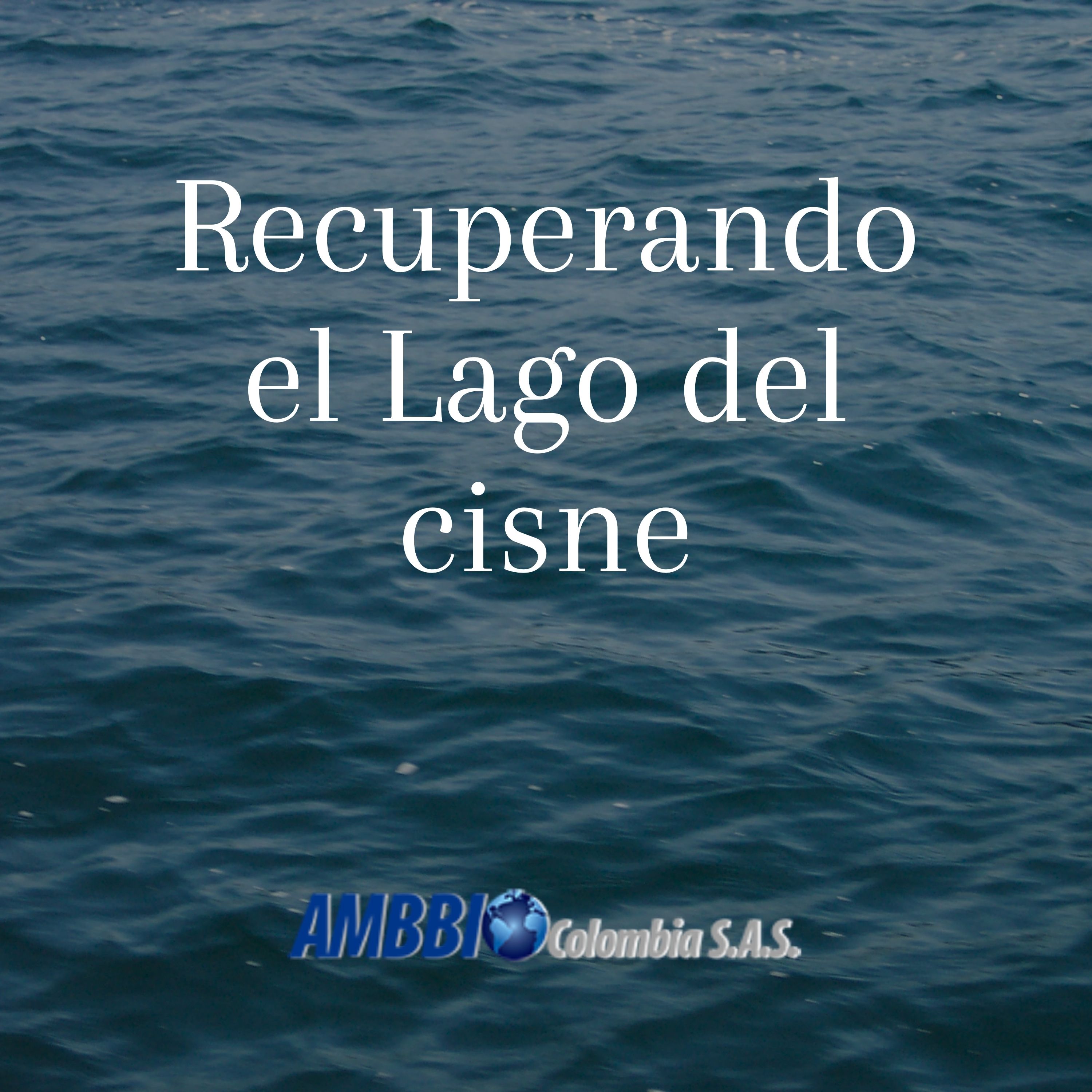 Recuperando el Lago del Cisne