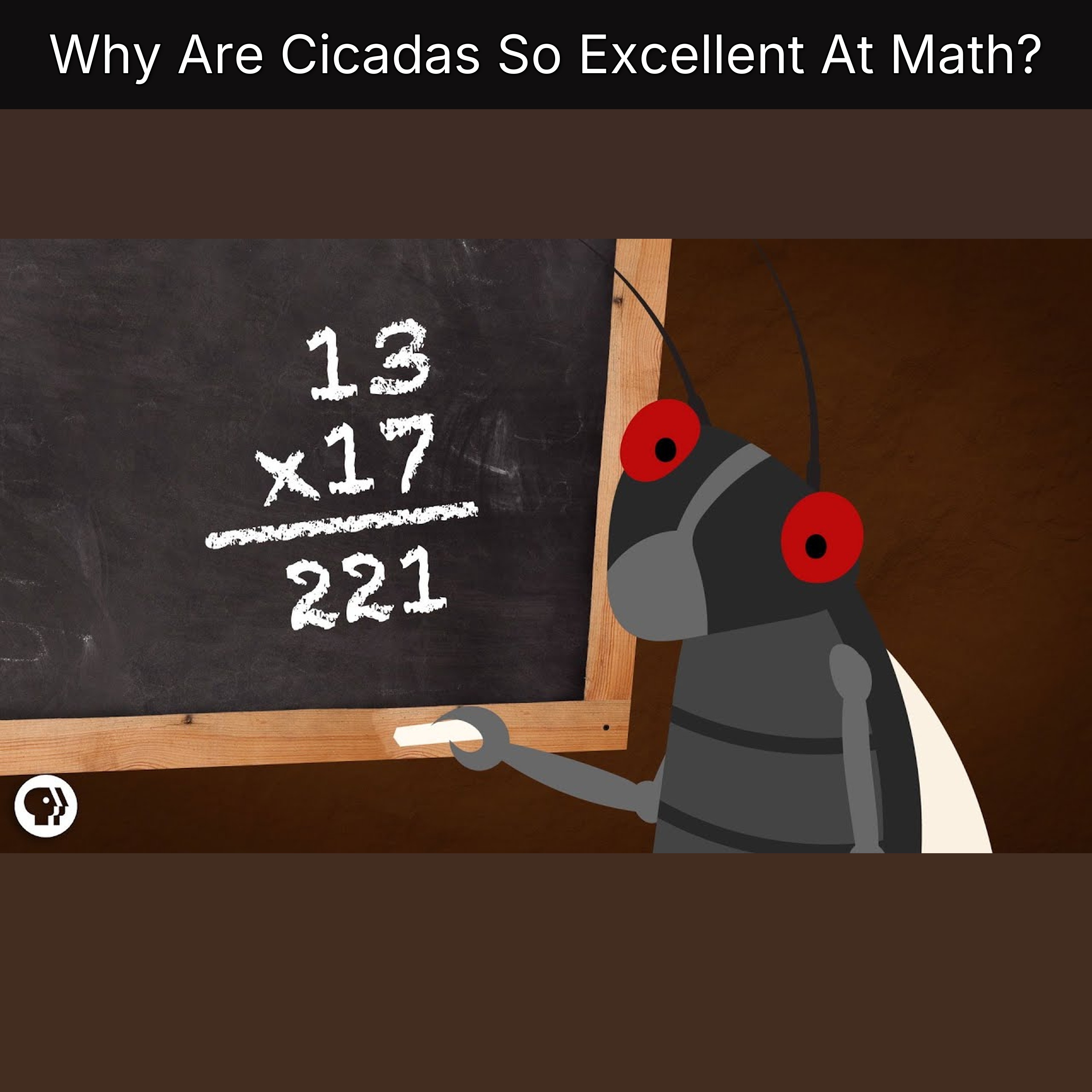Why Are Cicadas So Excellent At Math? episode artwork