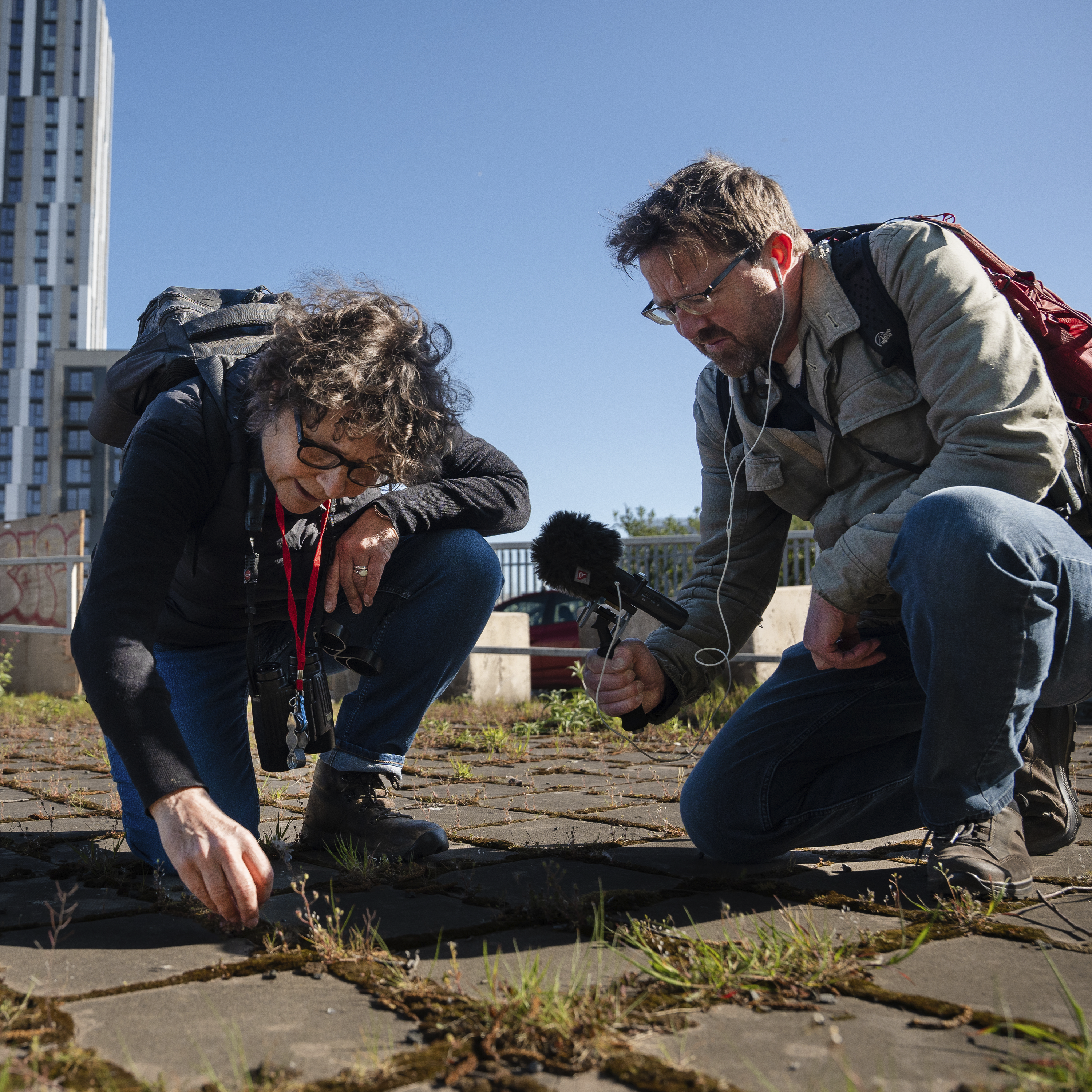 350. A quest to find hidden urban wildlife with Amanda Tuke on the streets of Cardiff