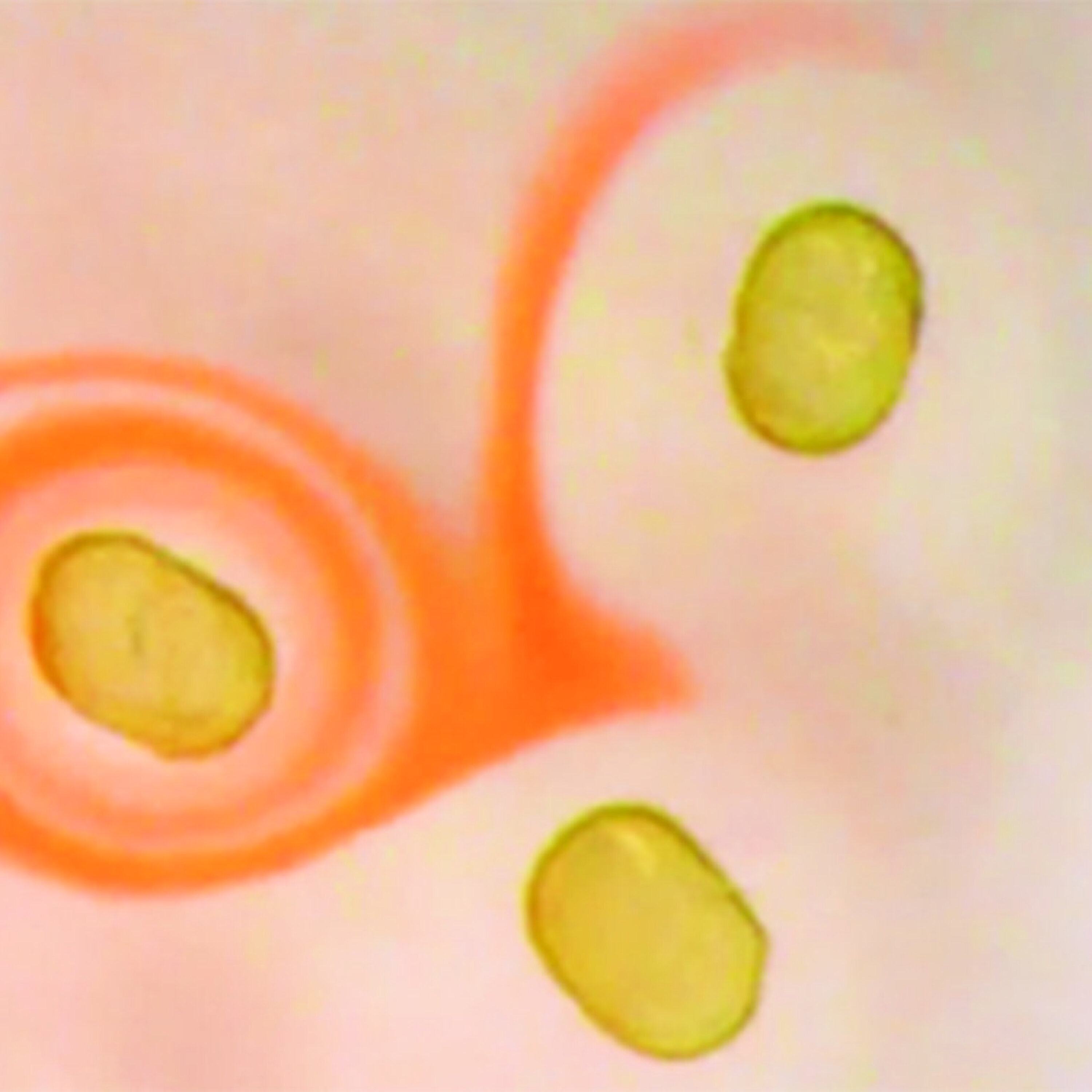 Can we inherit trauma from our ancestors, and the secret to dark liquid dances